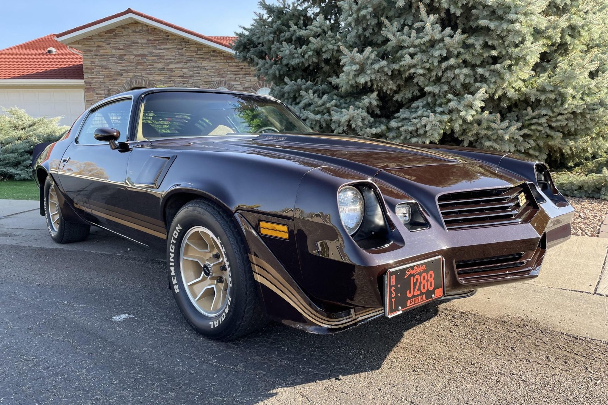 1981 Chevrolet Camaro