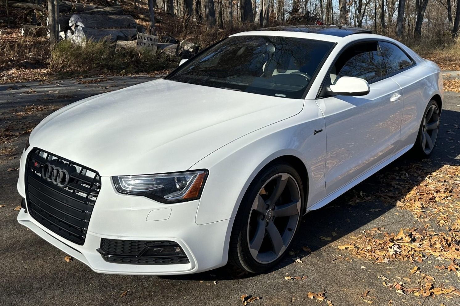 2014 Audi S5