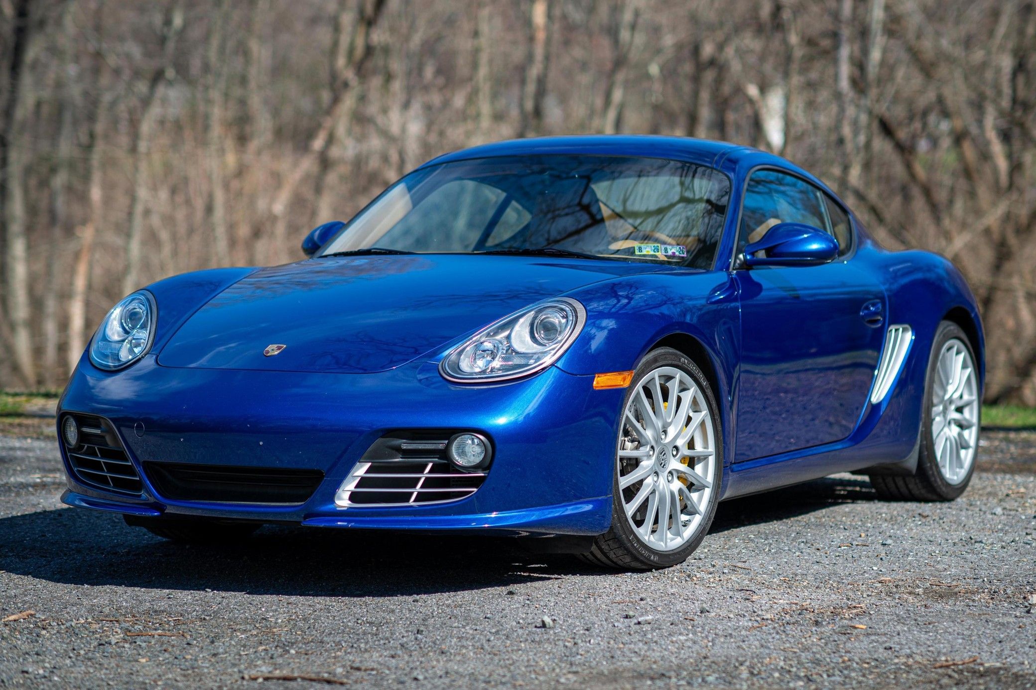 2010 Porsche Cayman S