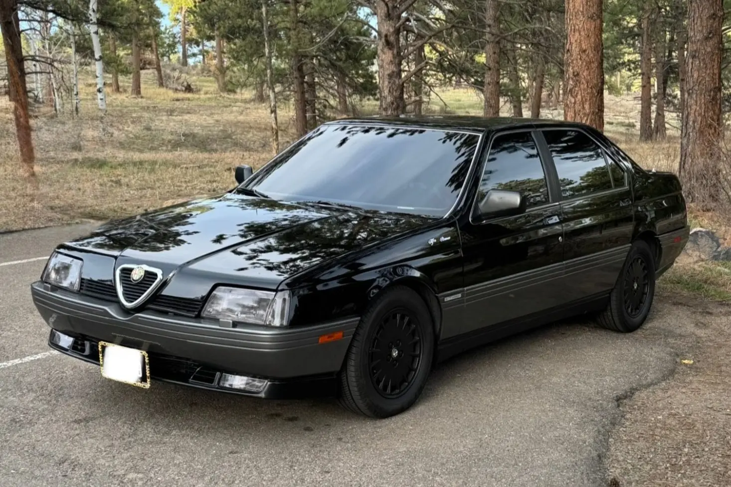 1991 Alfa Romeo 164