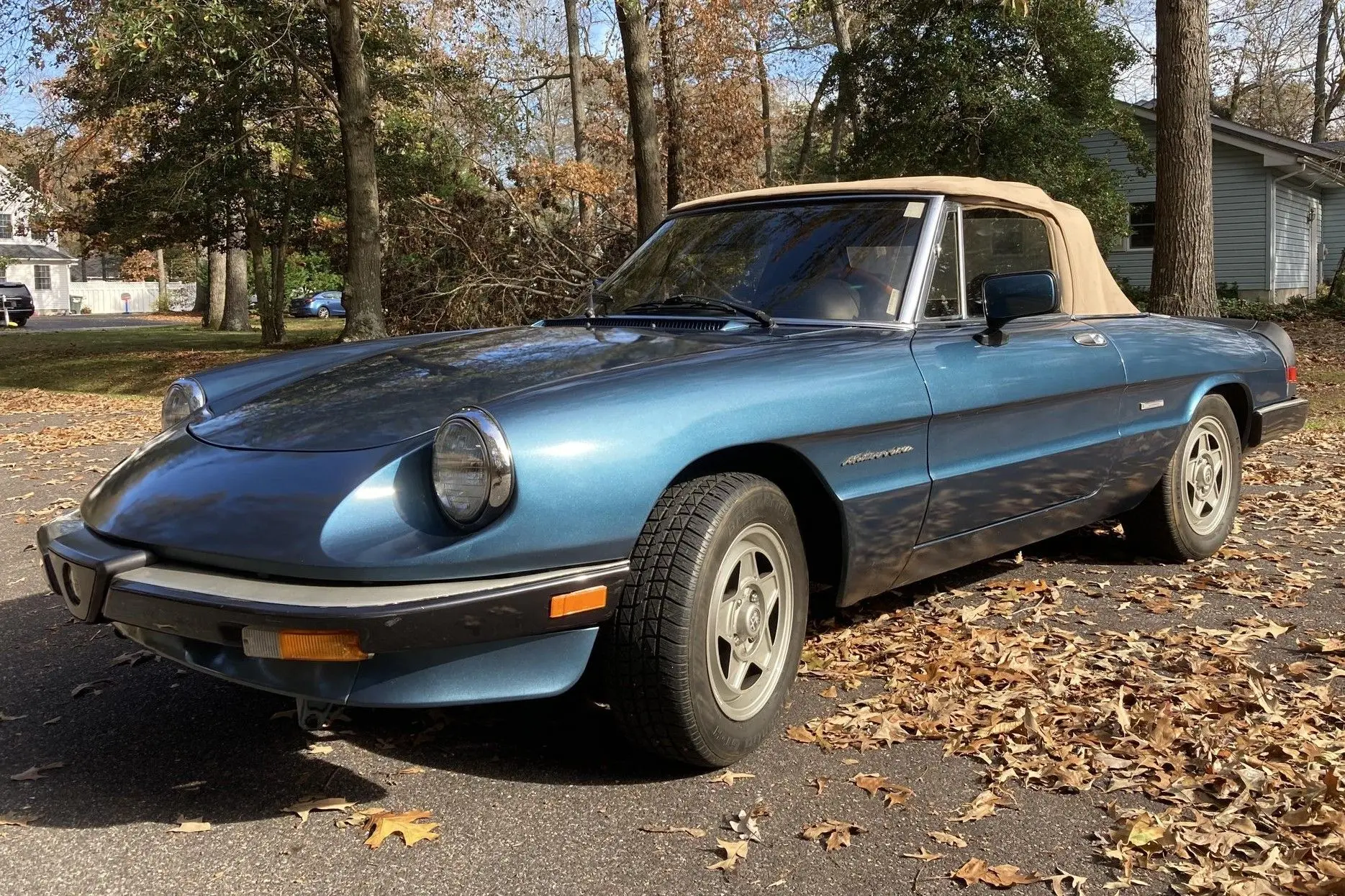 1986 Alfa Romeo Spider