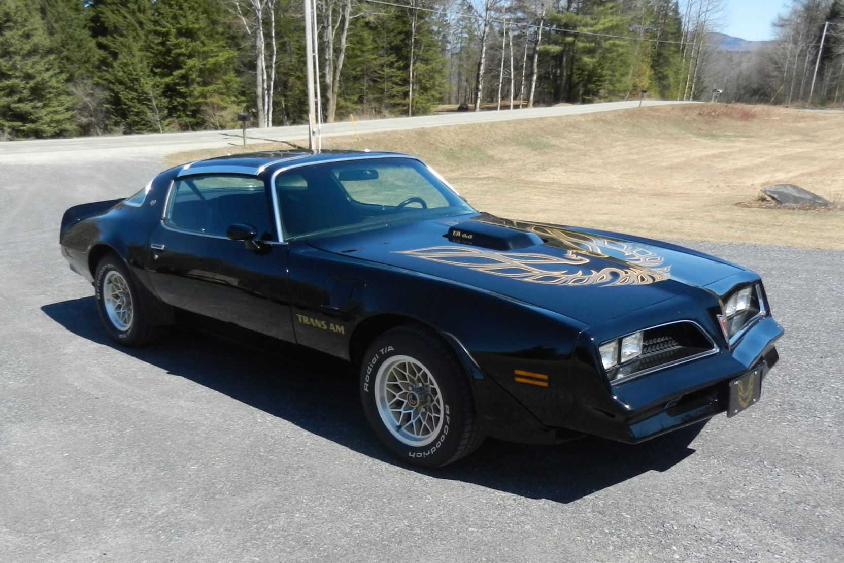 1978 Pontiac Firebird Trans Am