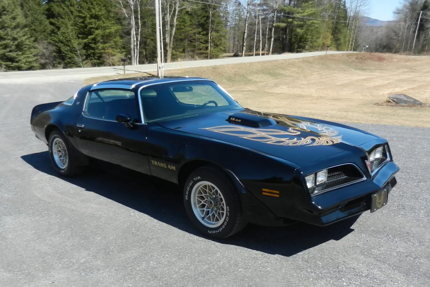 1978 Pontiac Firebird Trans Am