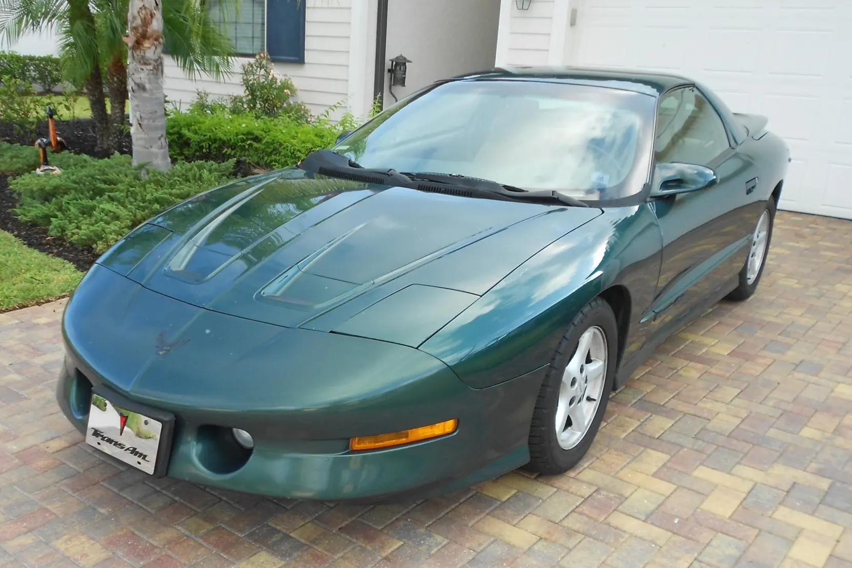 1995 Pontiac Firebird Trans Am
