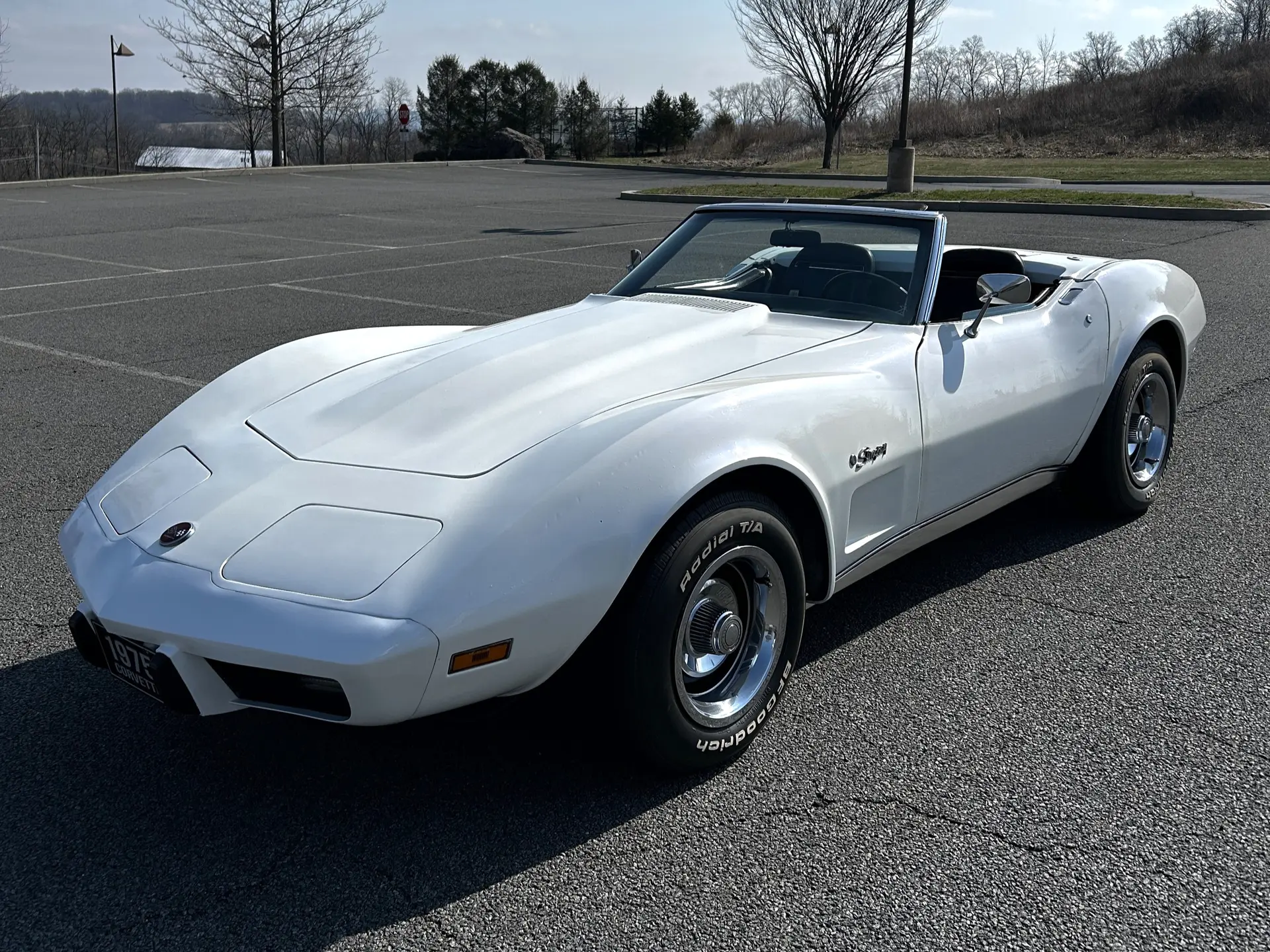 1975 Chevrolet Corvette