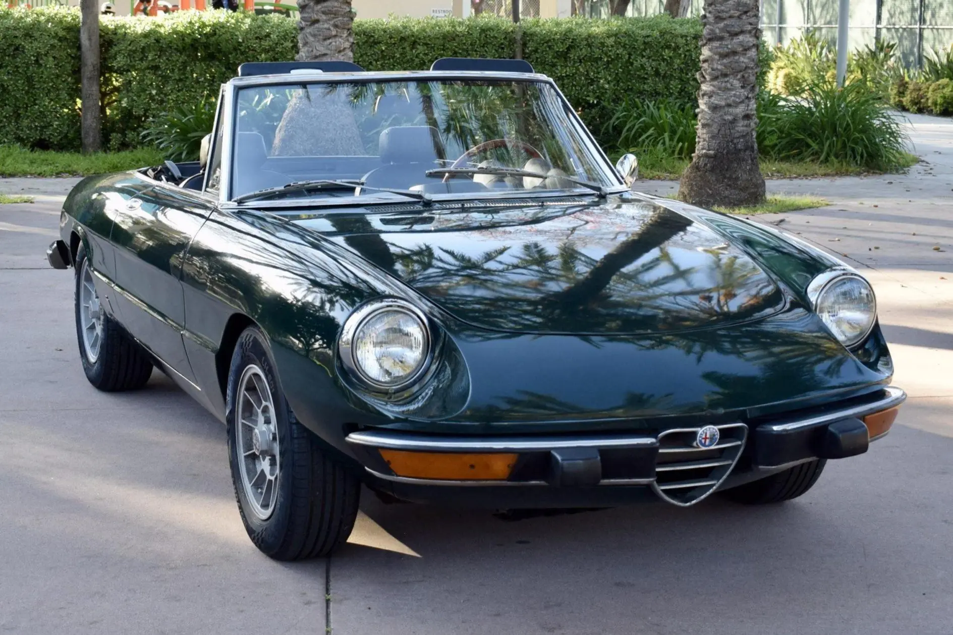1974 Alfa Romeo 105 Series Spider