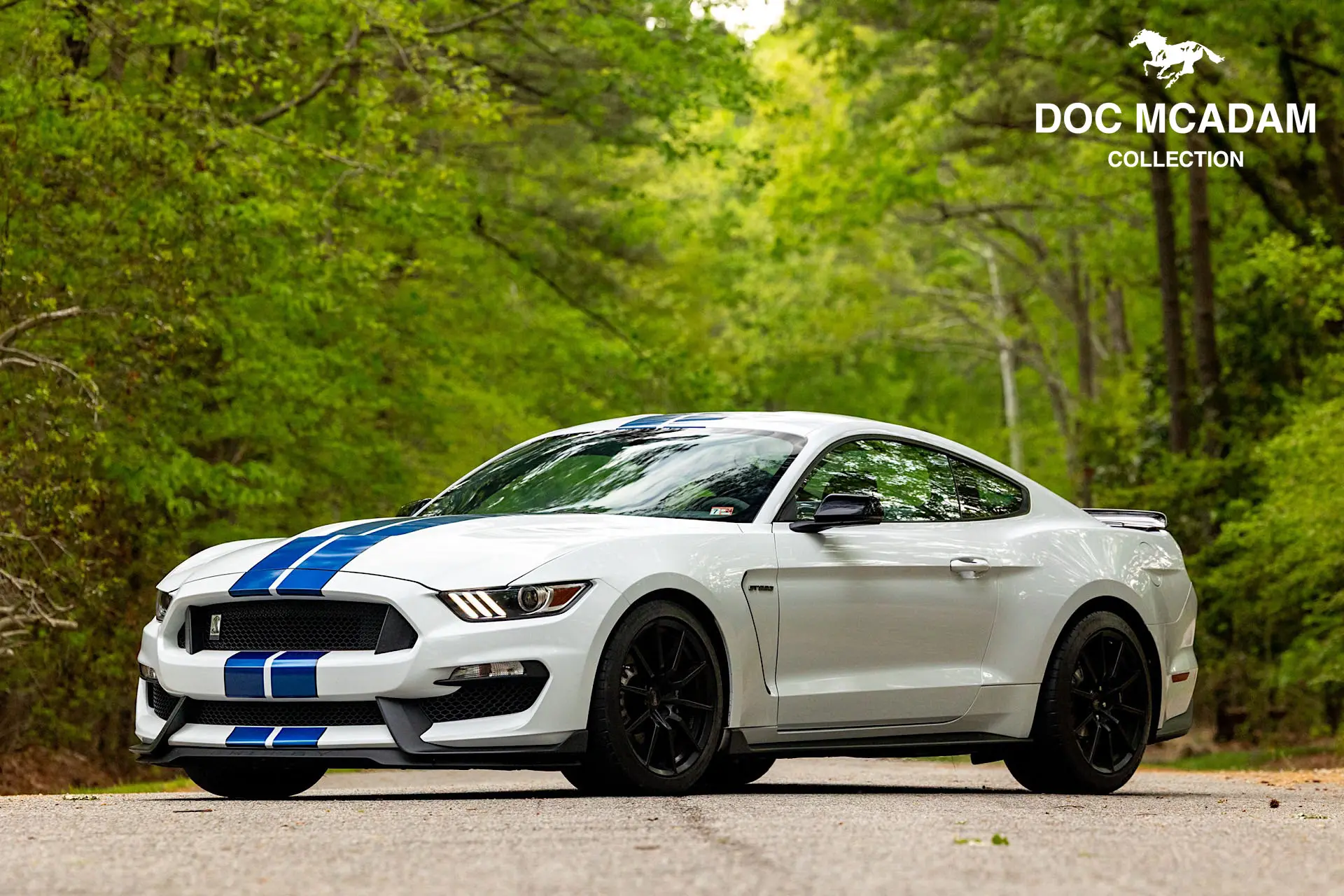 2017 Ford Mustang Shelby GT350
