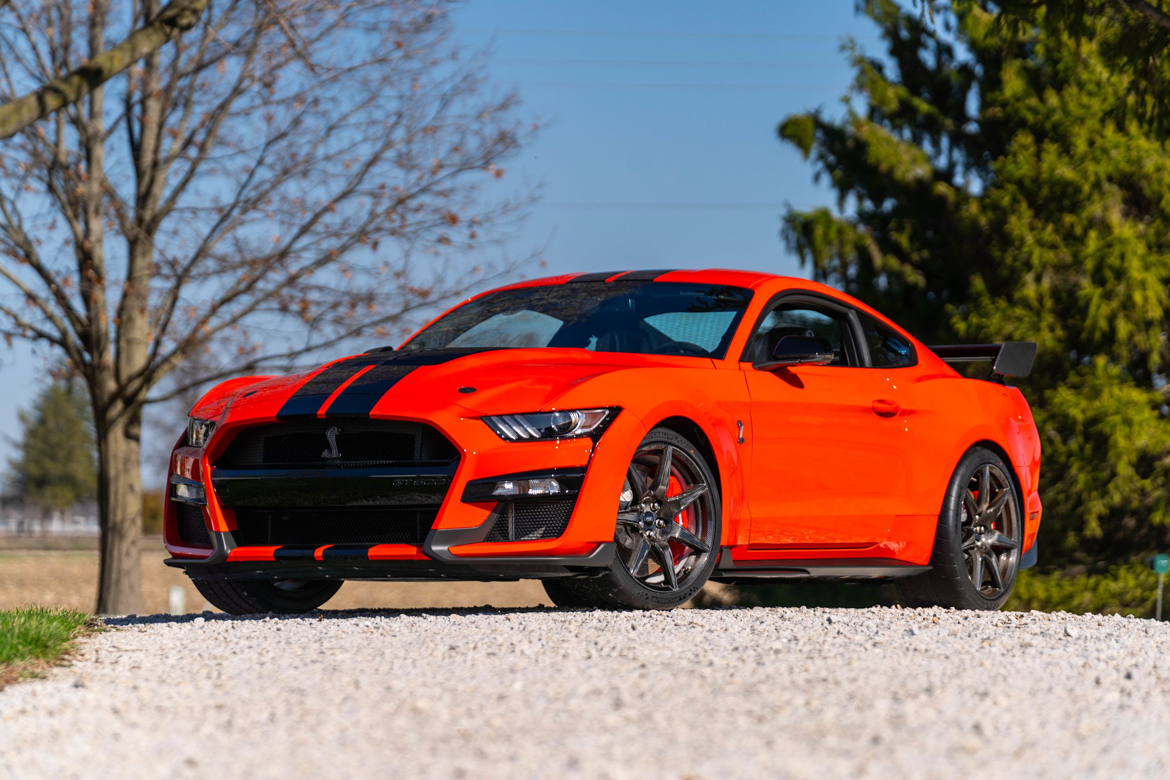 2022 Ford Mustang Shelby GT500