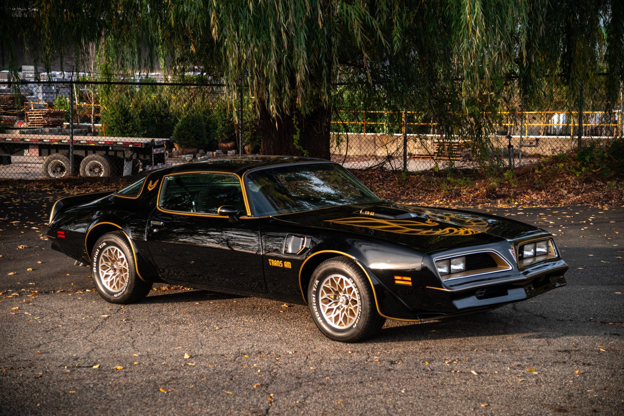 1977 Pontiac Firebird Trans Am
