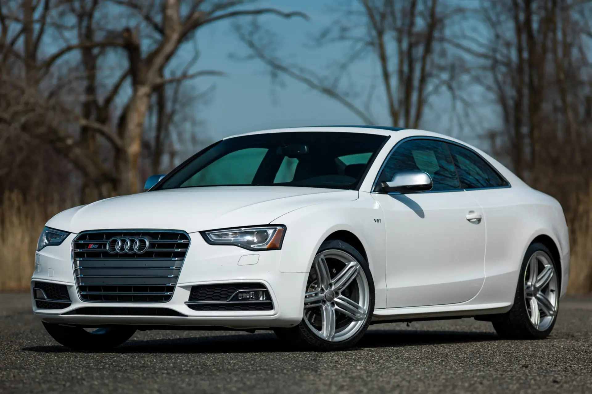 2013 Audi S5