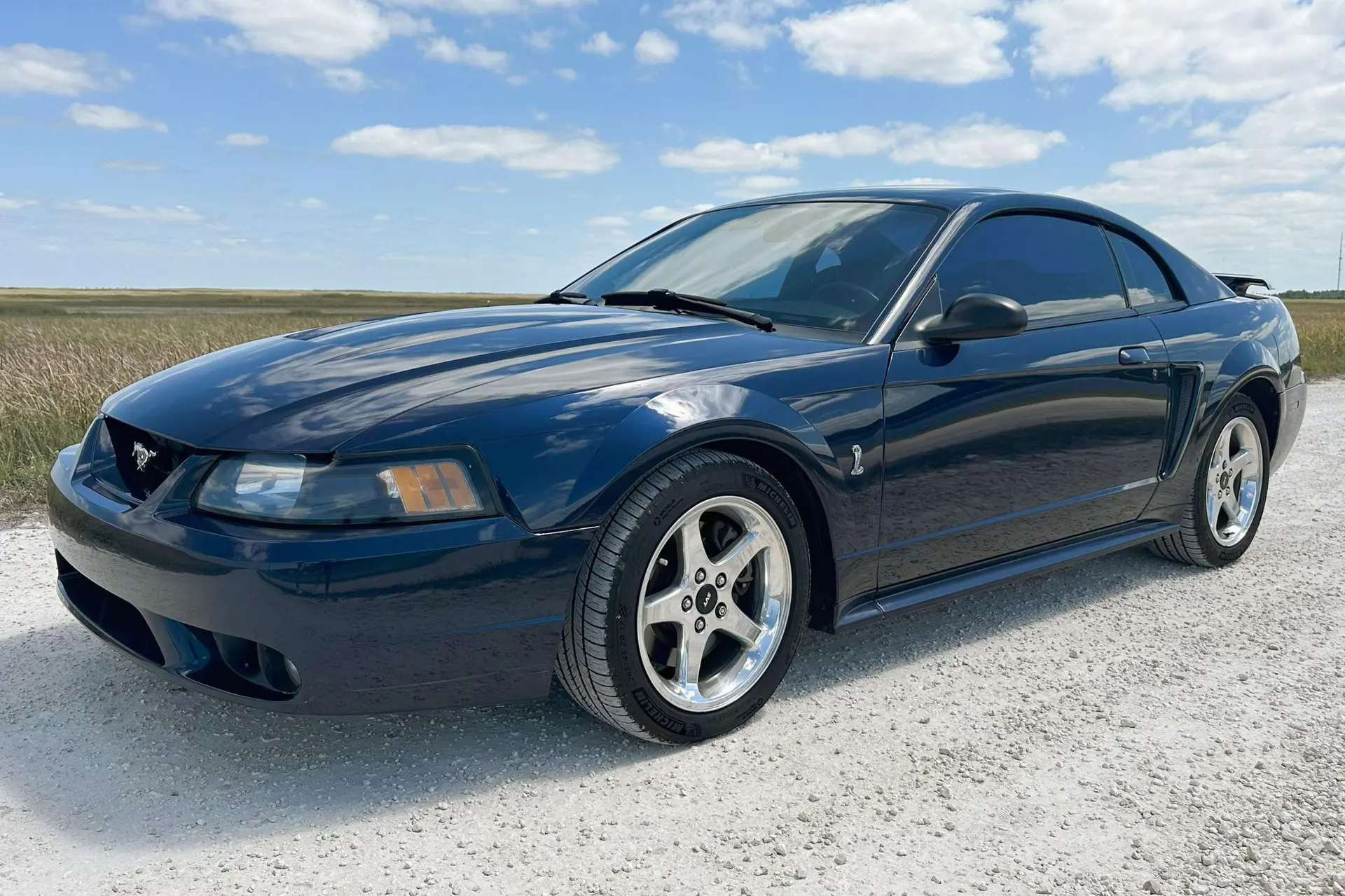 2001 Ford Mustang SVT Cobra