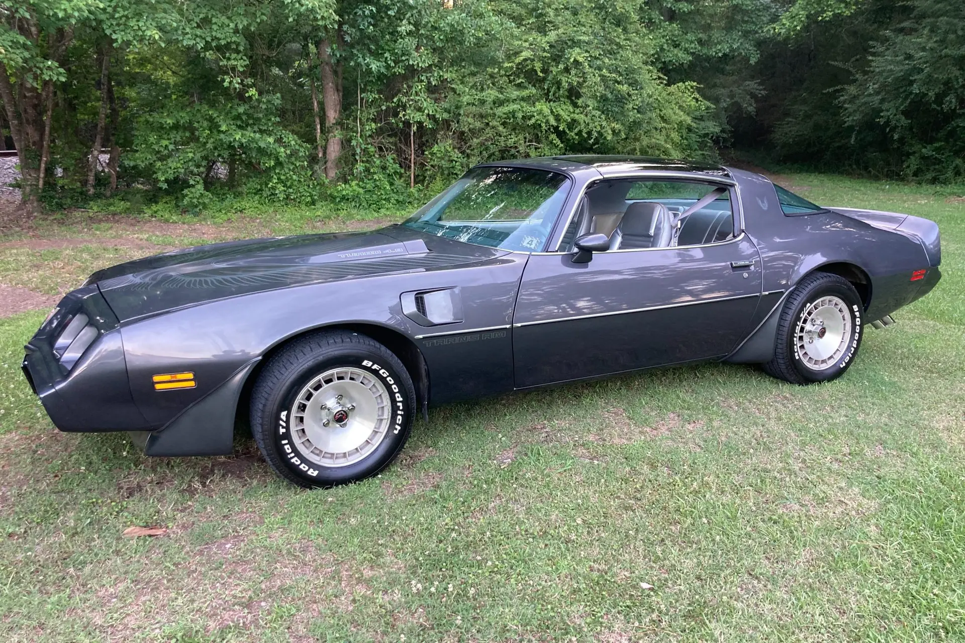 1981 Pontiac Firebird Trans Am