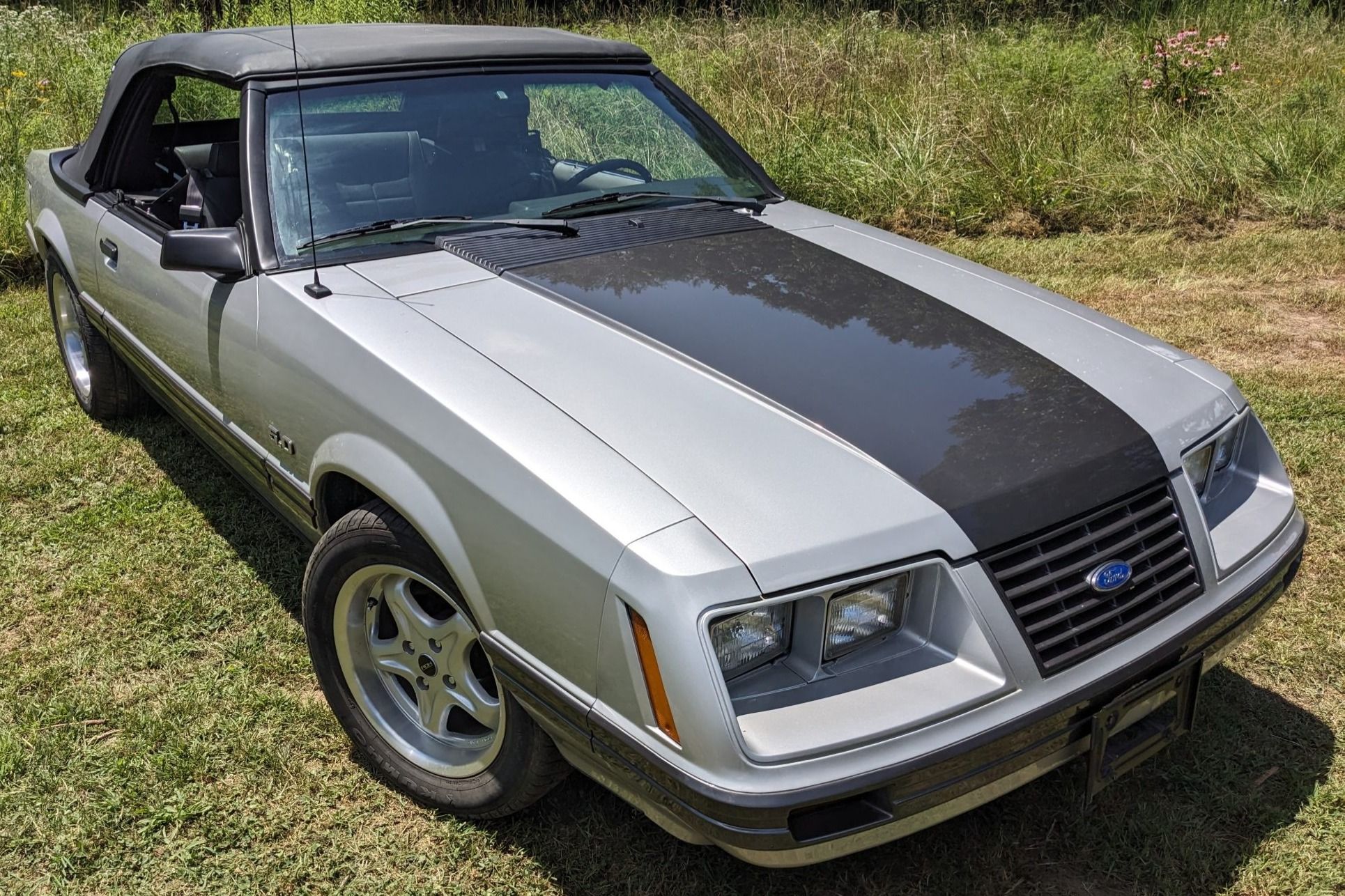 1984 Ford Mustang