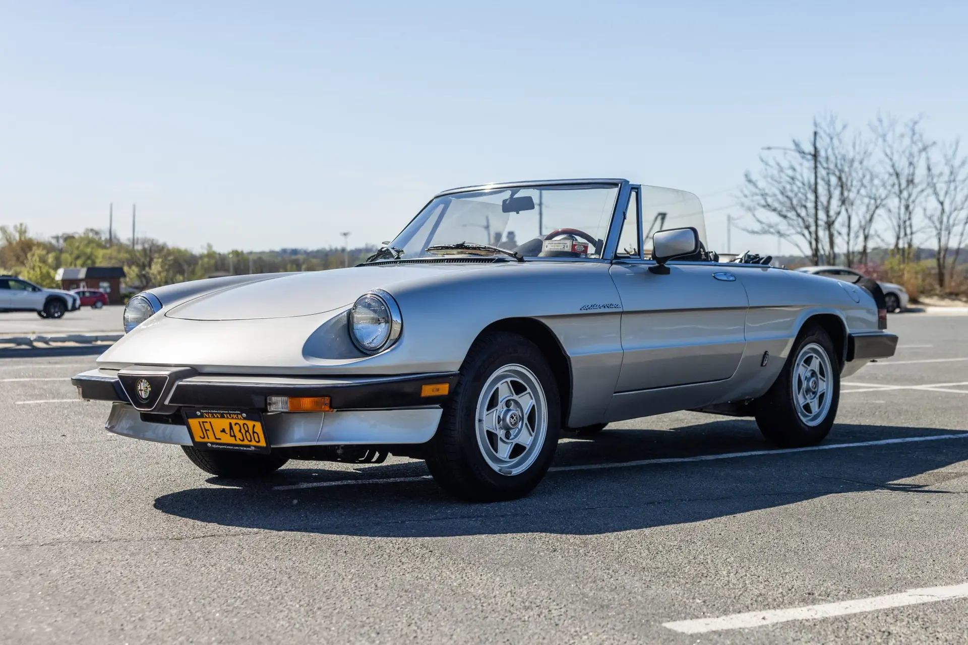 1984 Alfa Romeo Spider