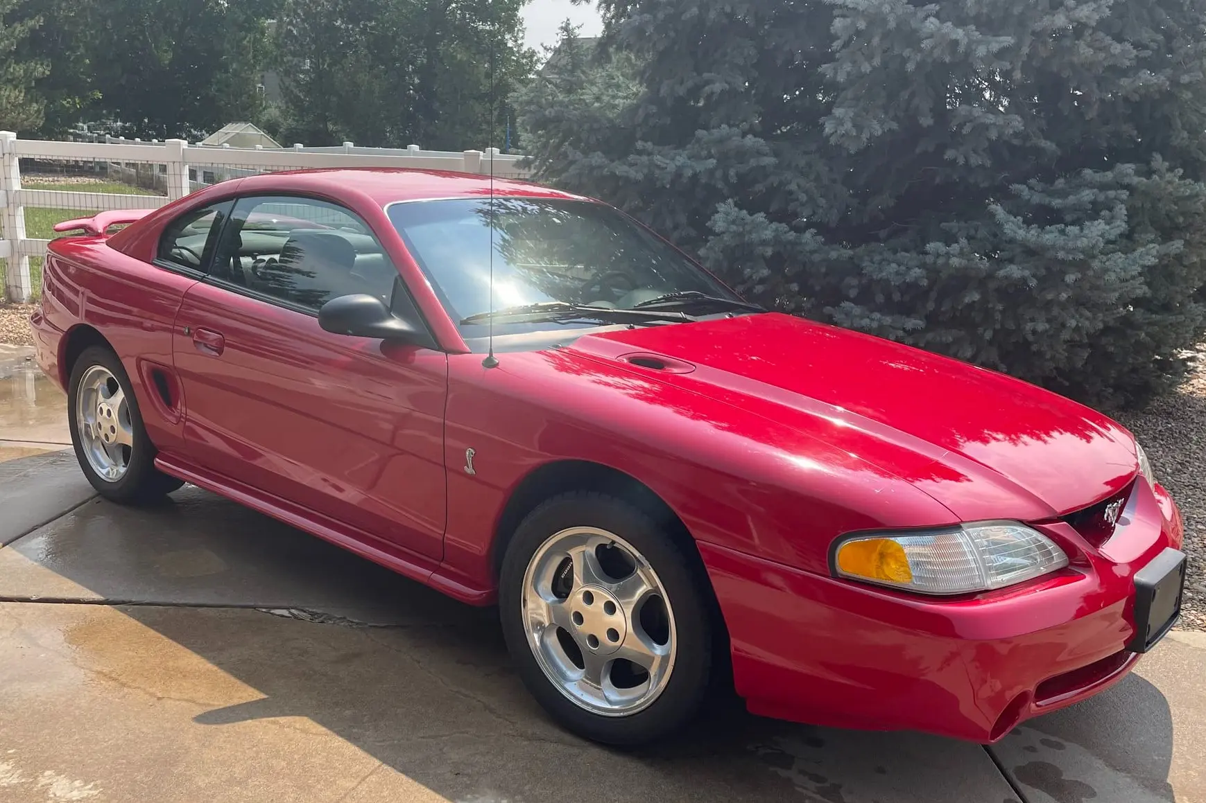 1994 Ford Mustang SVT Cobra