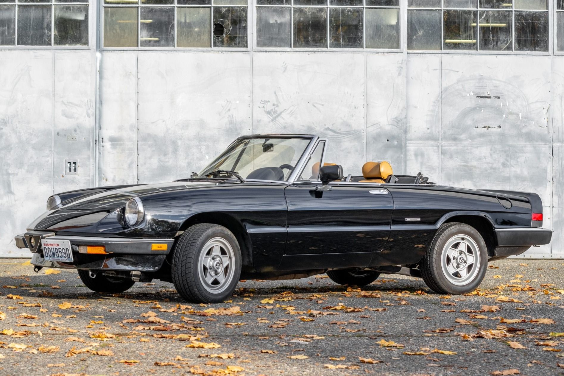 1990 Alfa Romeo 105 Series Spider