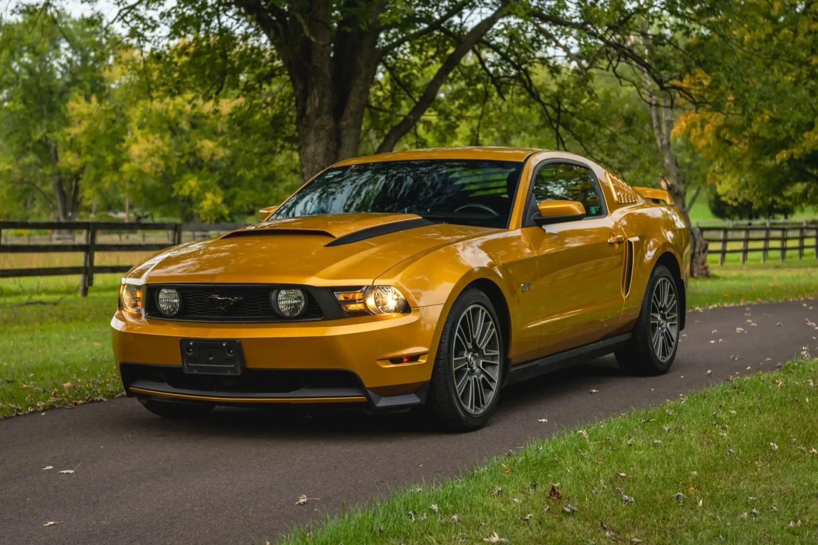2010 Ford Mustang