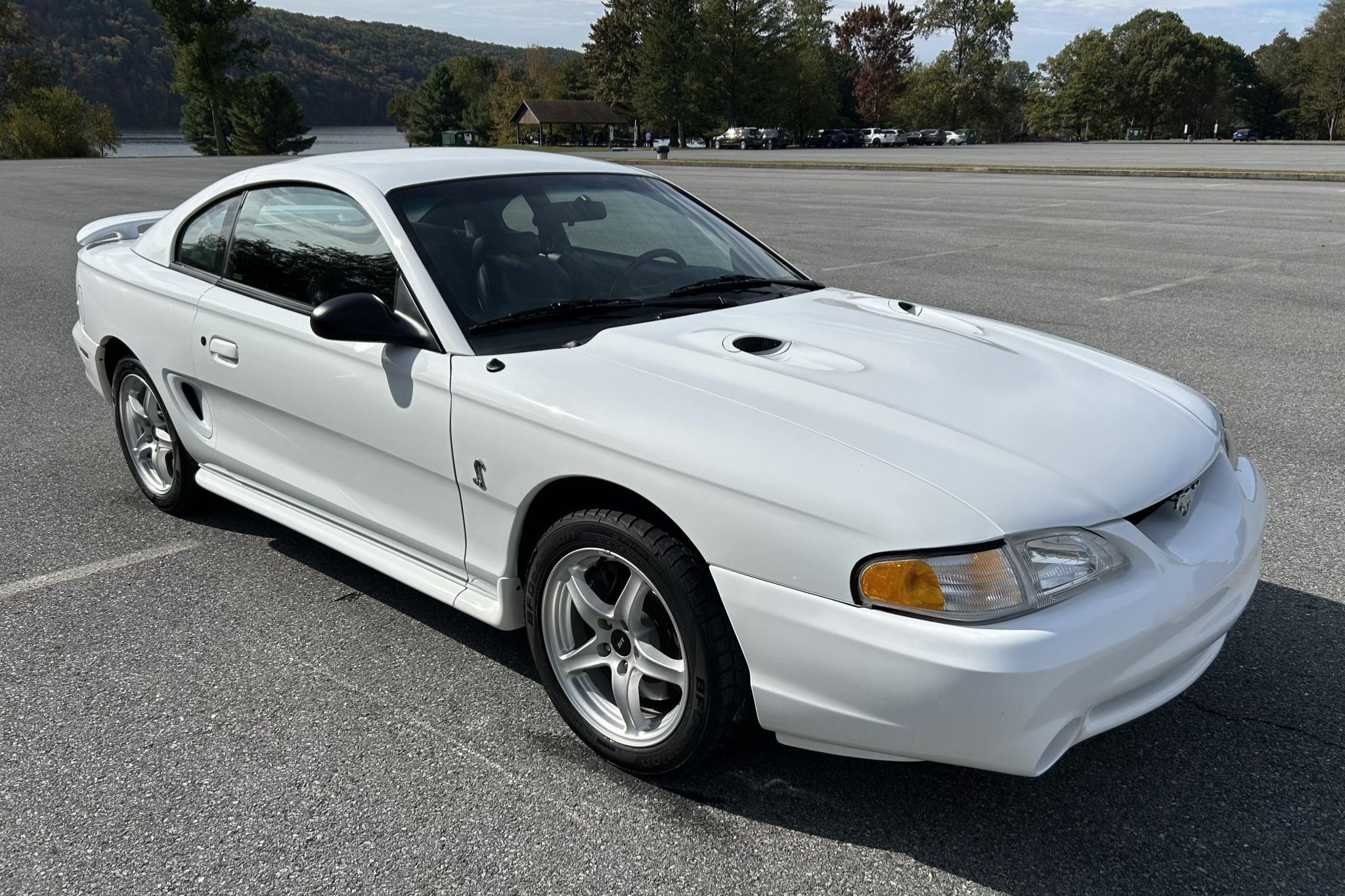 1998 Ford Mustang SVT Cobra