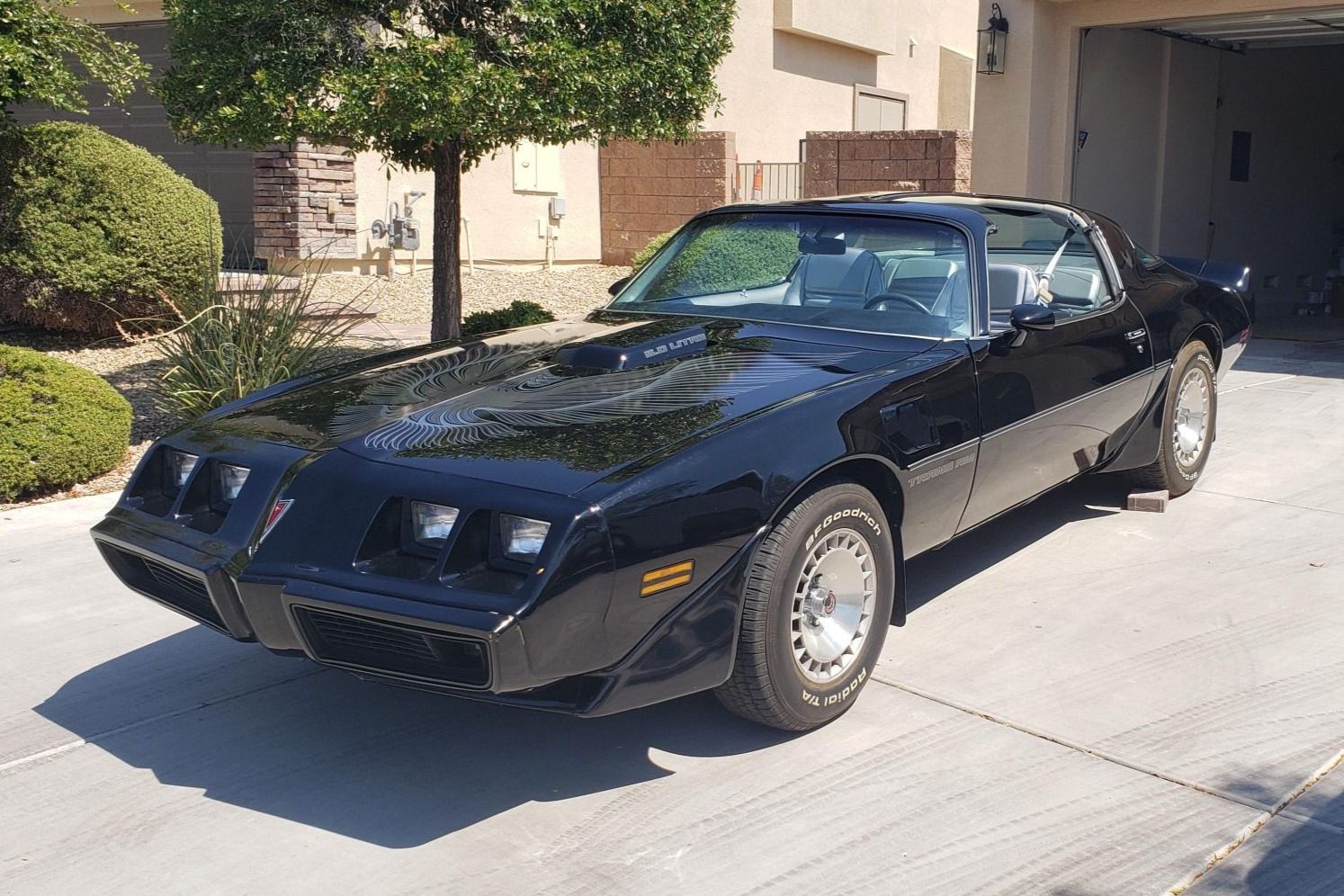 1981 Pontiac Firebird Trans Am