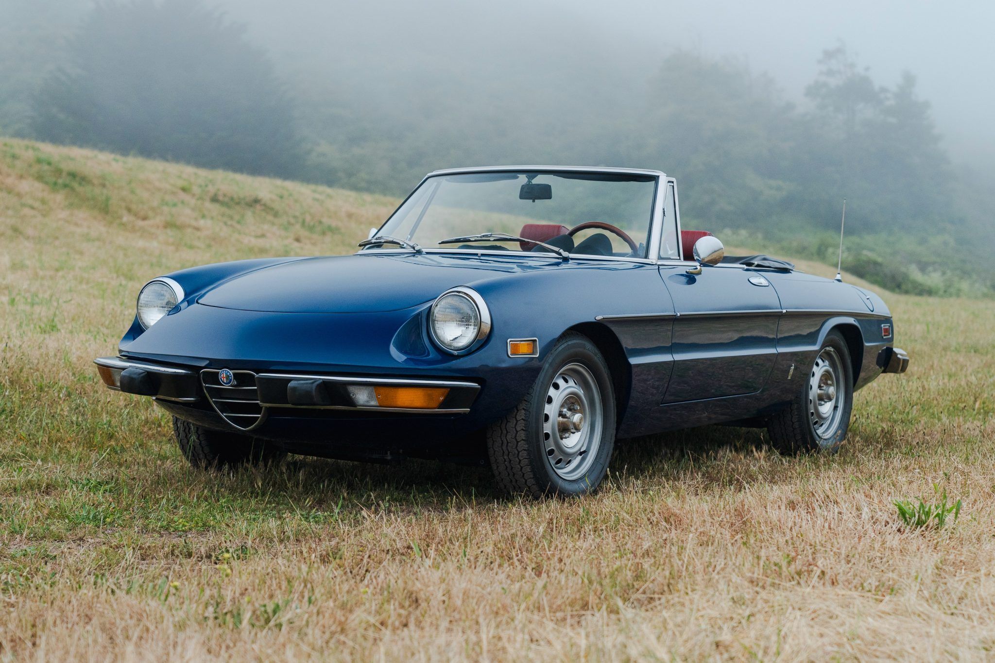 1974 Alfa Romeo 105 Series Spider