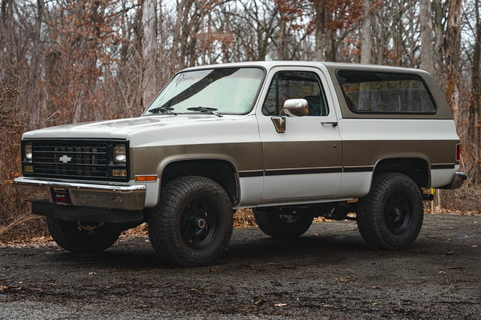 1989 Chevrolet Blazer