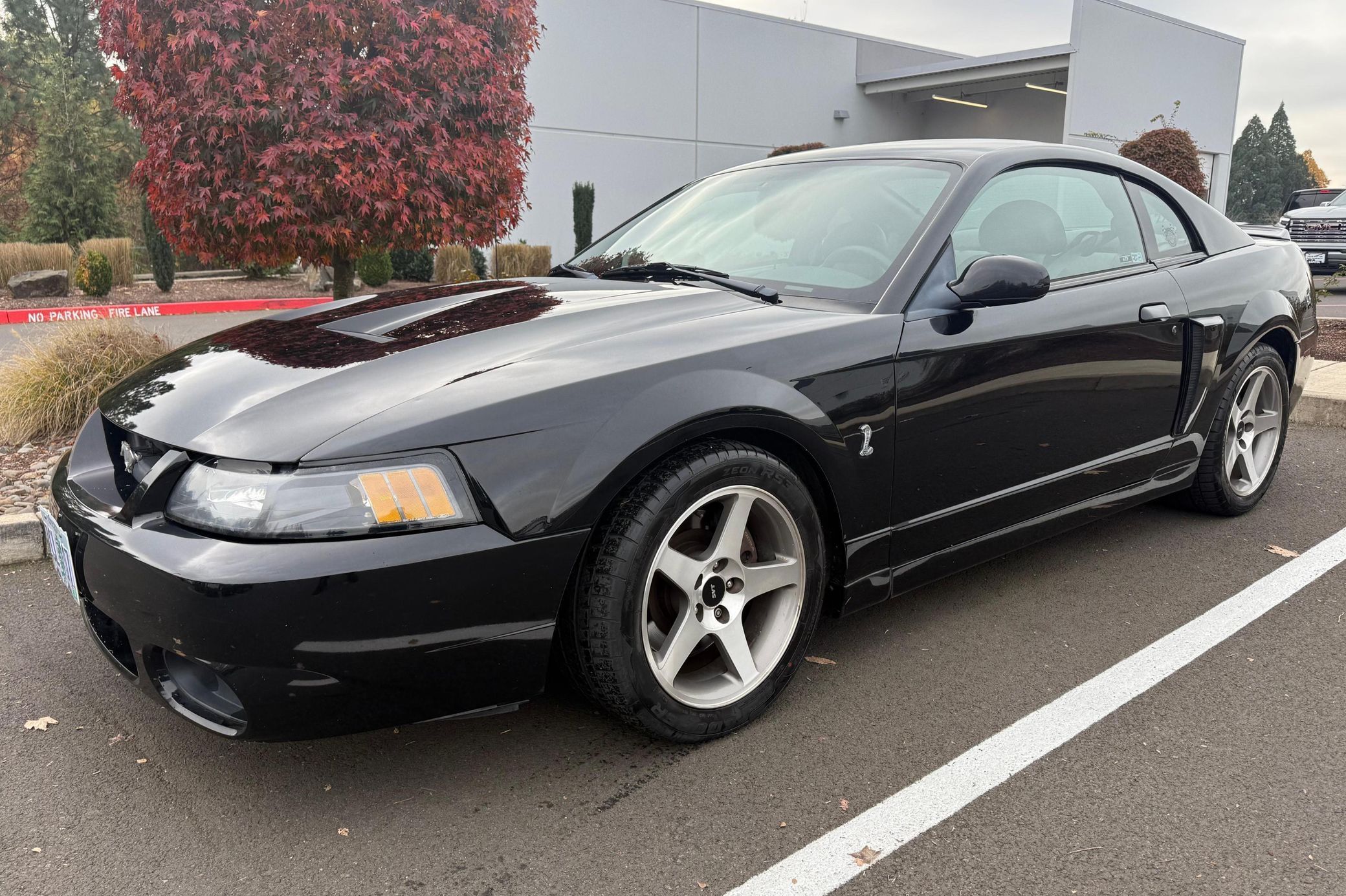 2003 Ford Mustang SVT Cobra
