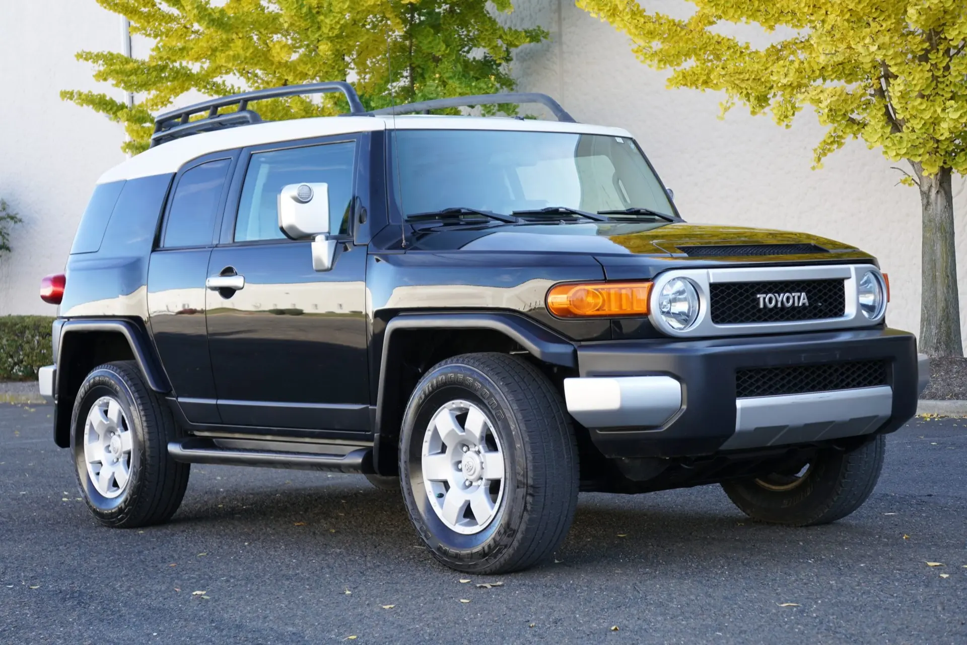 2007 Toyota FJ Cruiser