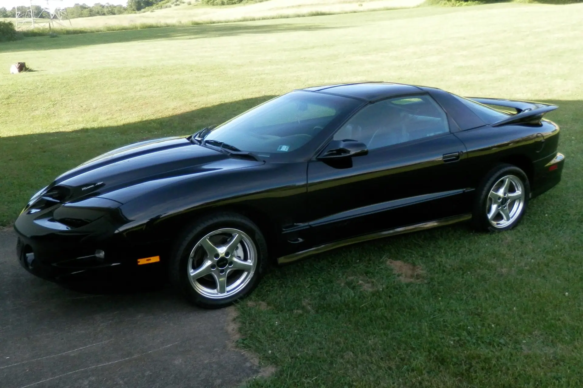 2000 Pontiac Firebird Trans Am