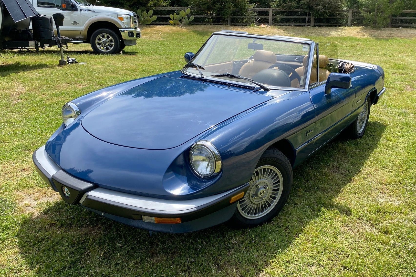 1990 Alfa Romeo 105 Series Spider