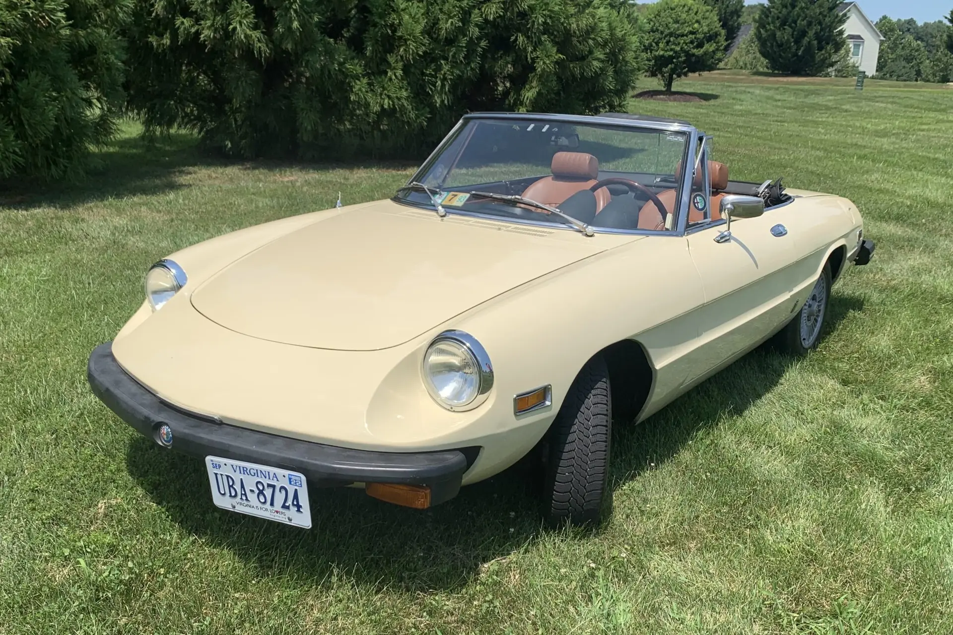 1976 Alfa Romeo 105 Series Spider