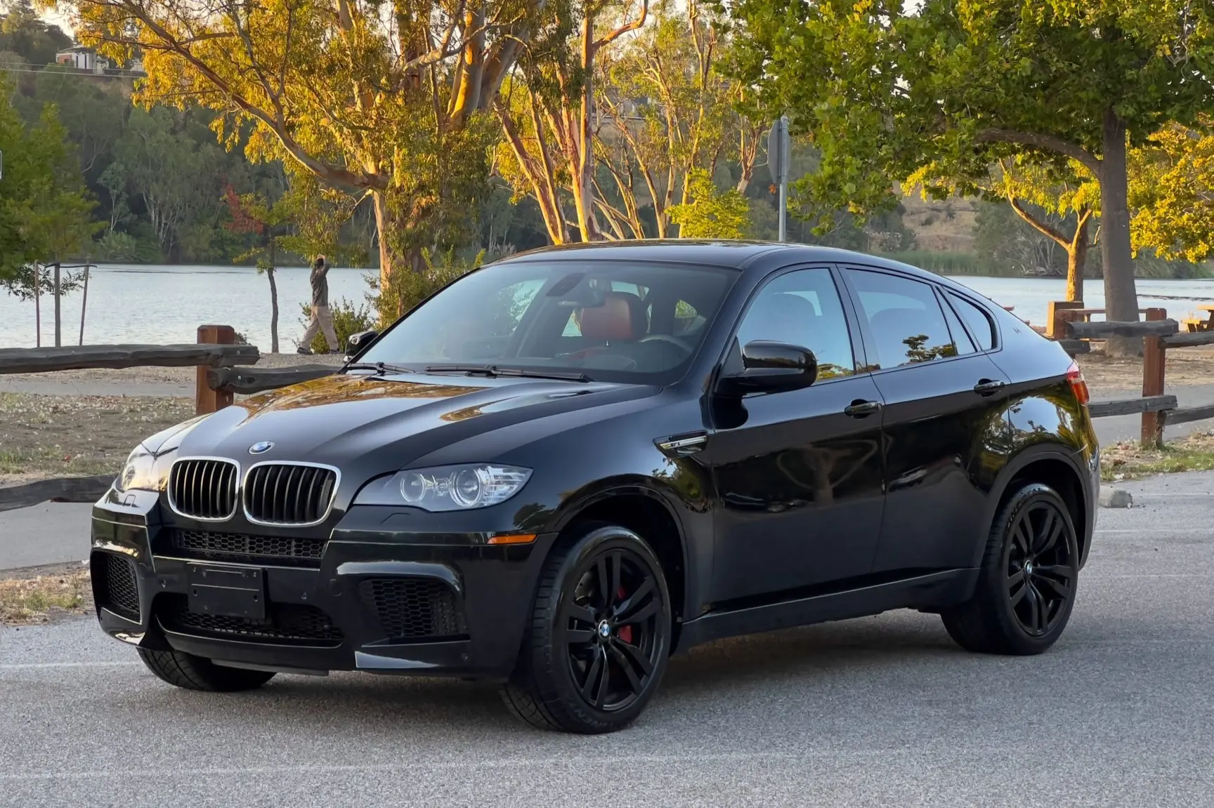 2010 BMW X6 M