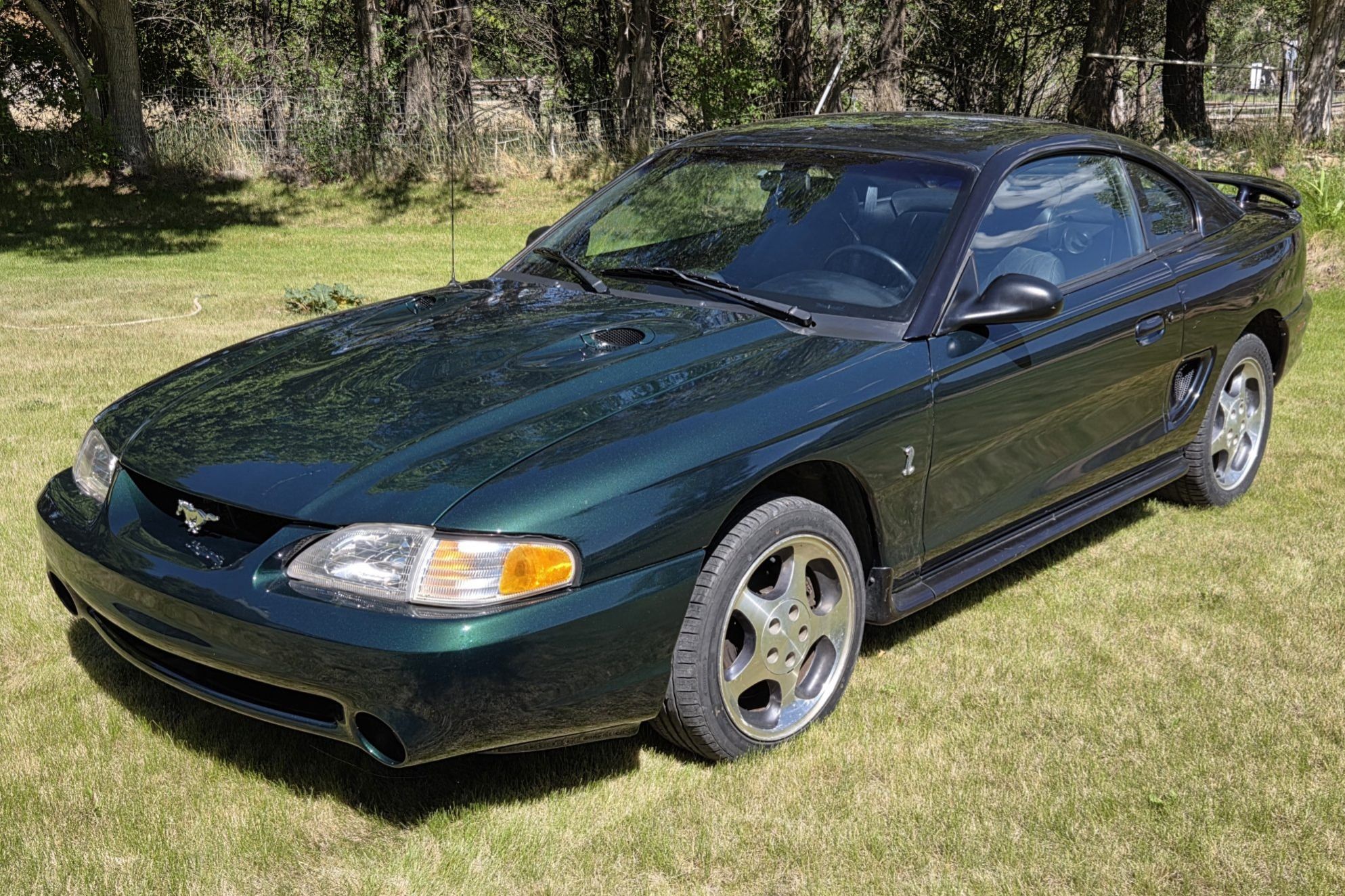 1996 Ford Mustang SVT Cobra