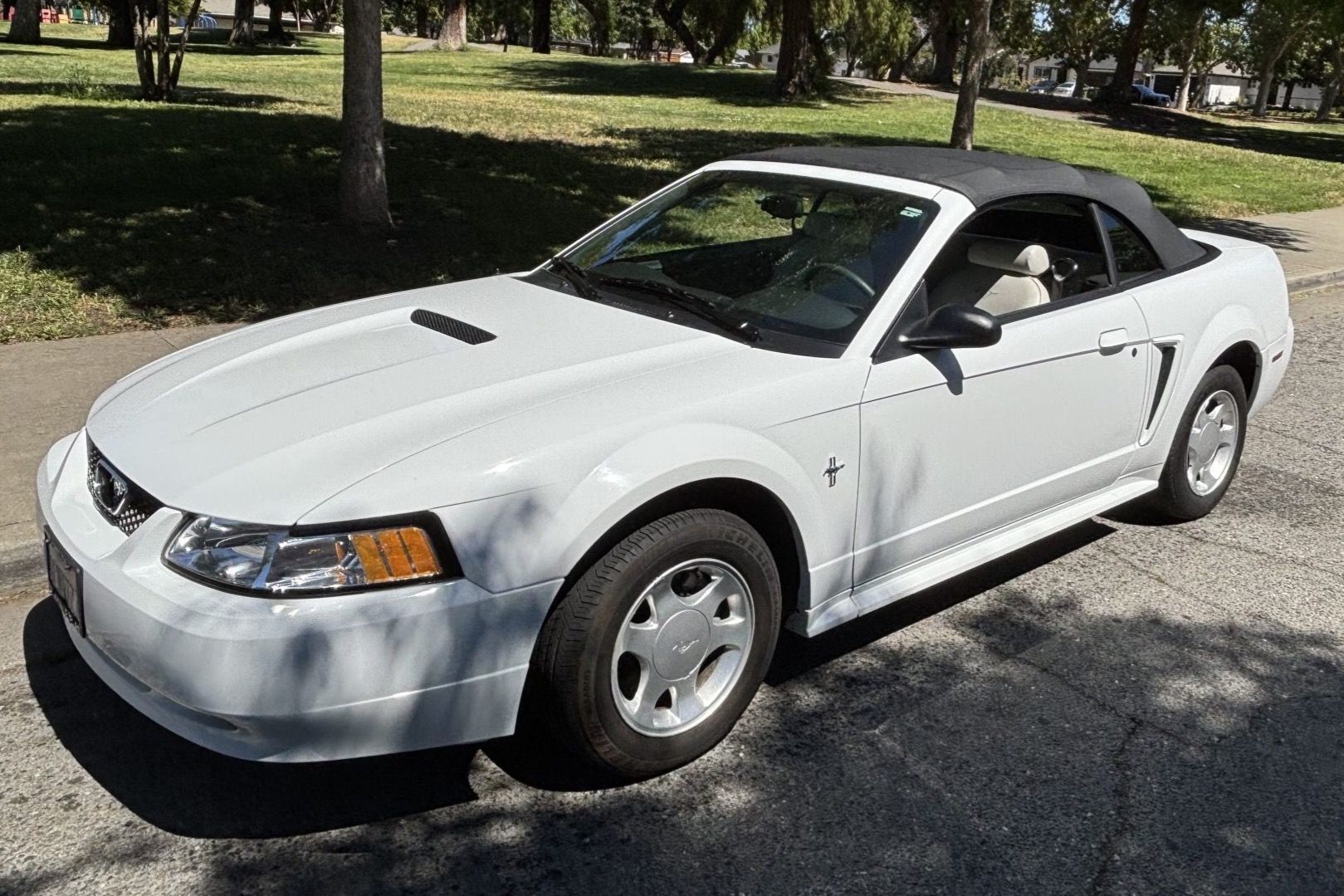 2000 Ford Mustang SVT Cobra