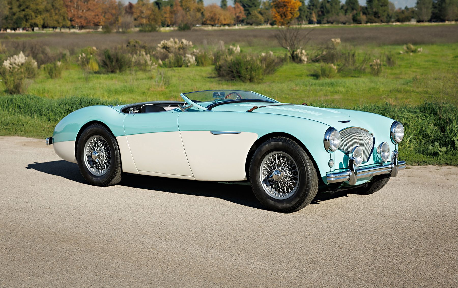 1956 Austin-Healey 100 100M, sold Mar 2026