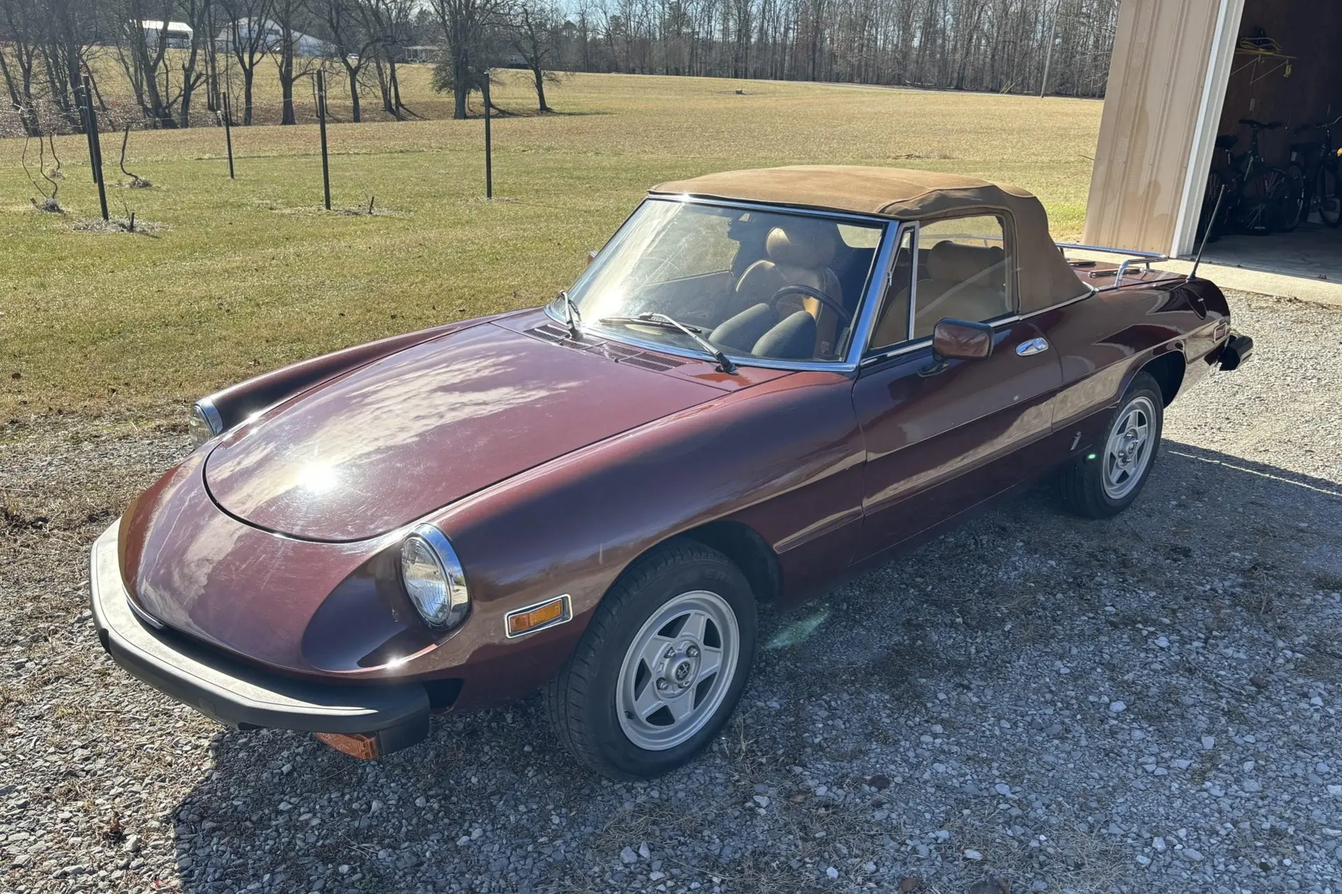 1980 Alfa Romeo 105 Series Spider
