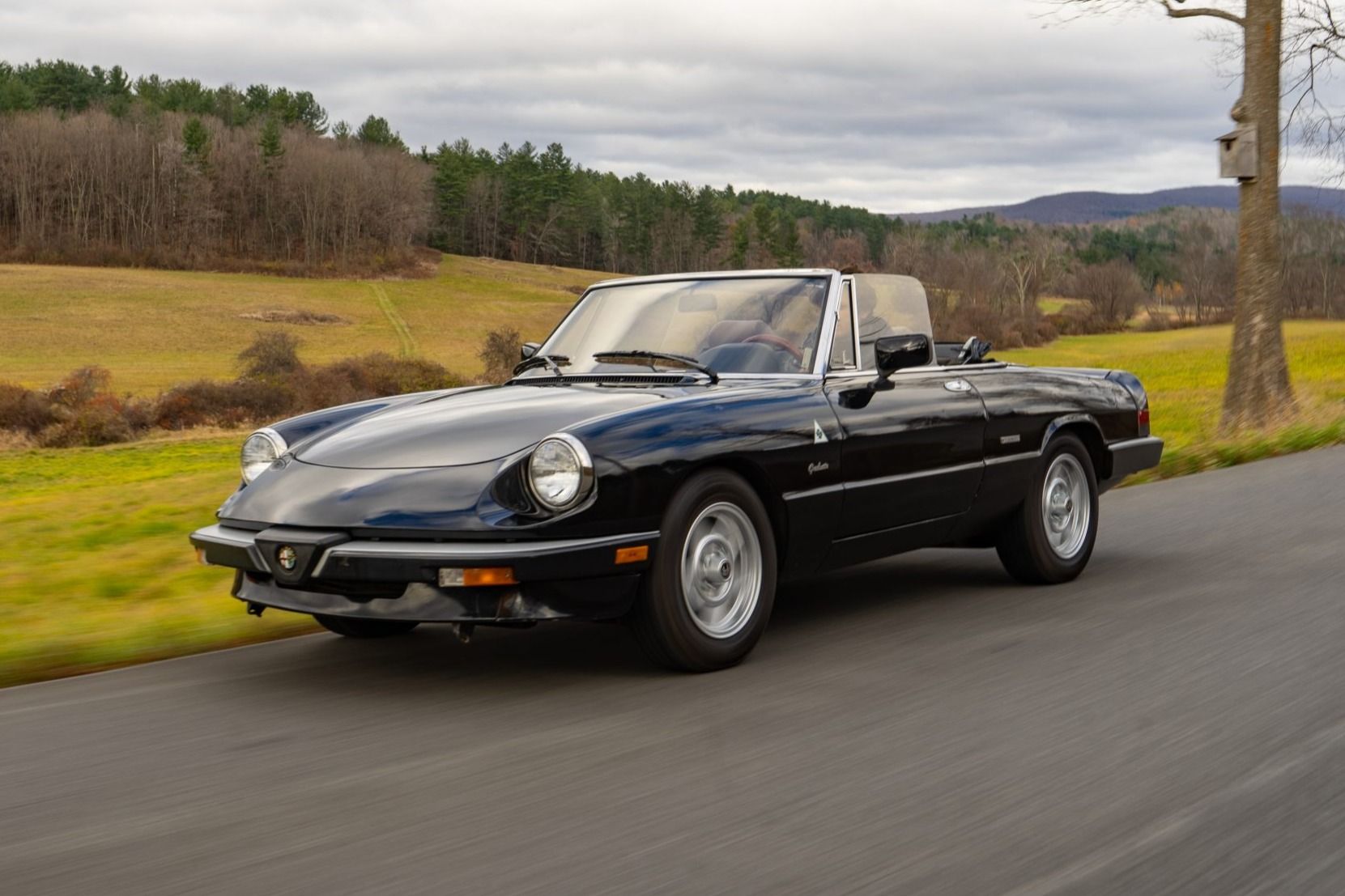 1989 Alfa Romeo 105 Series Spider