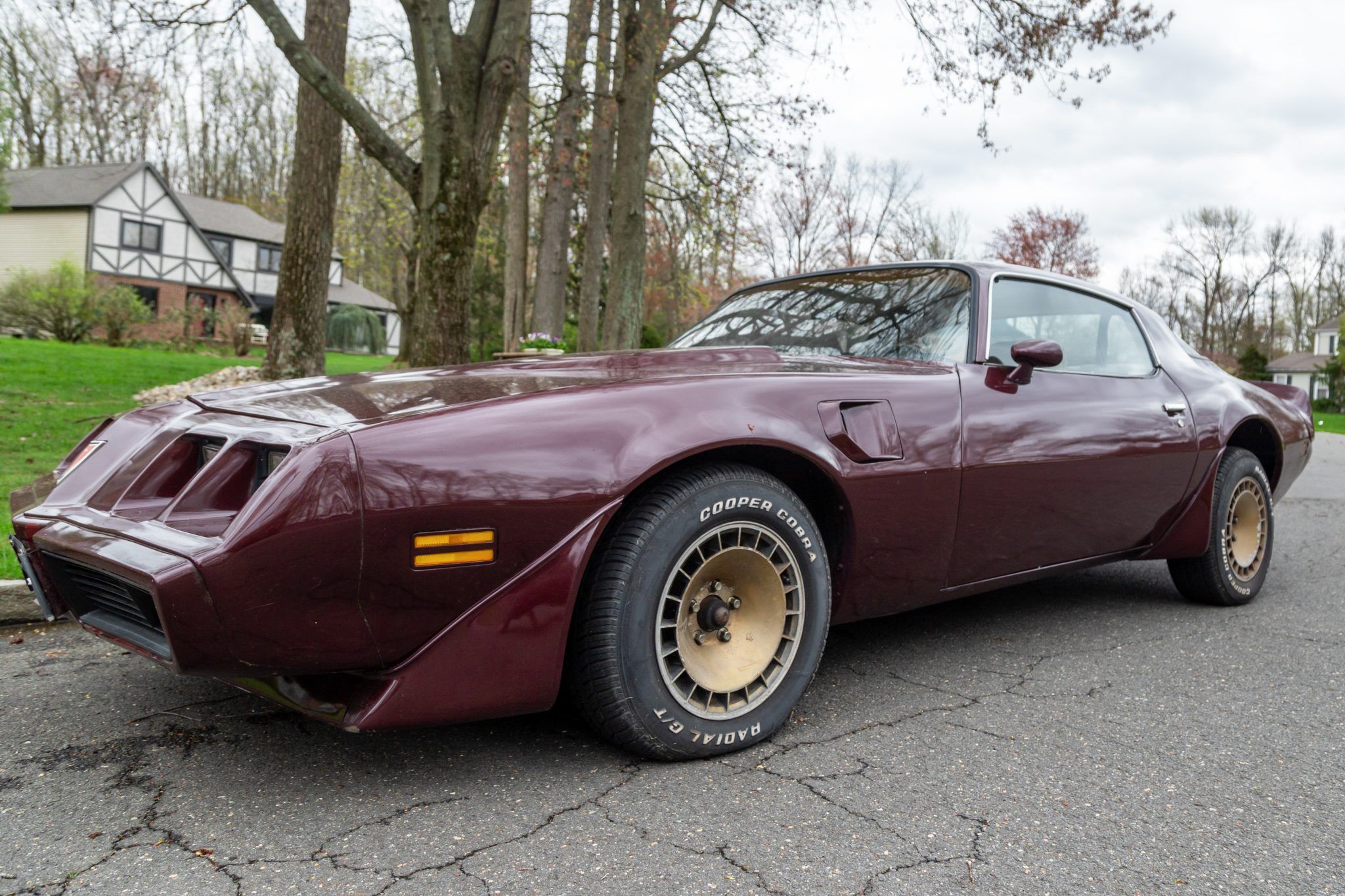 1981 Pontiac Firebird Trans Am