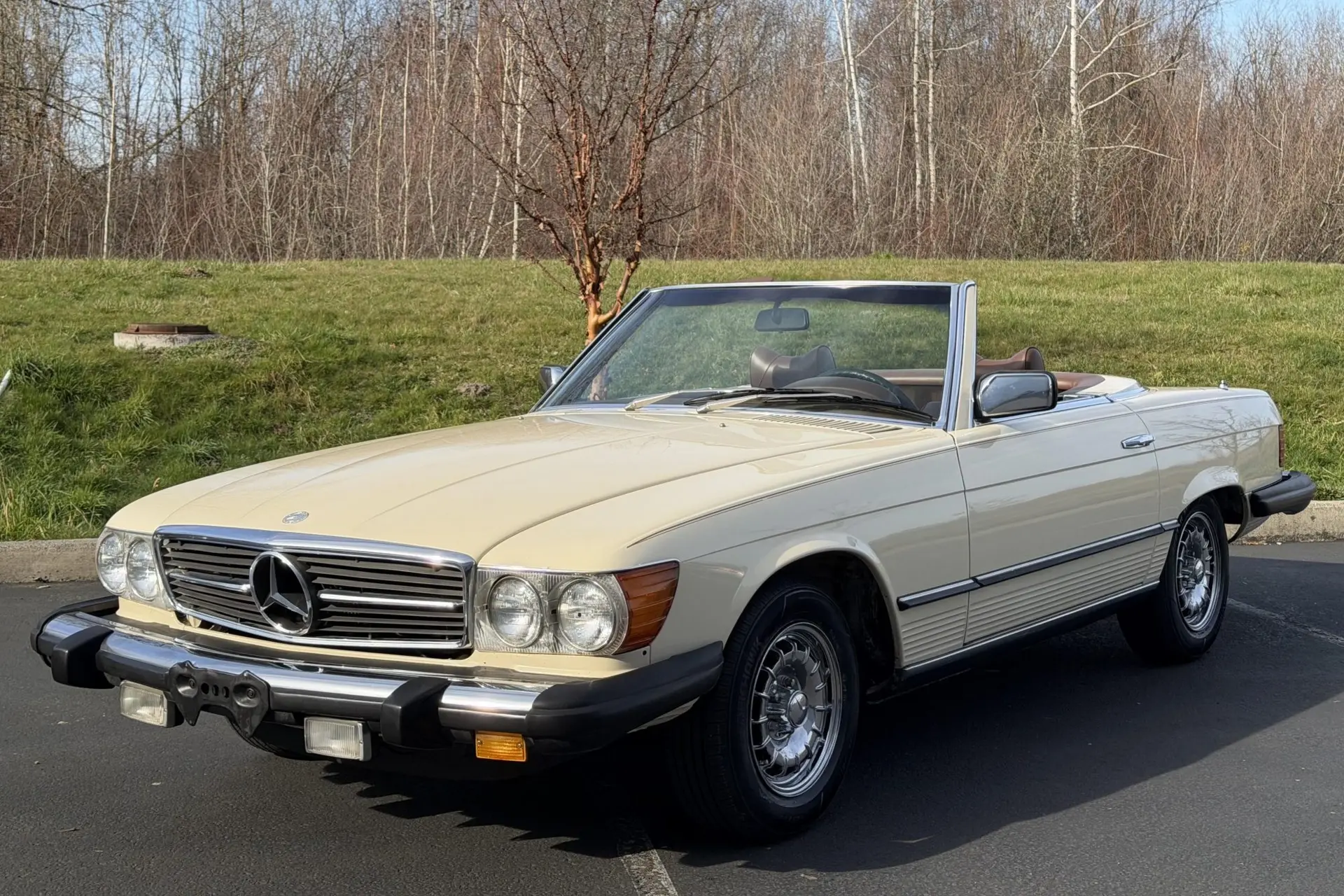1979 Mercedes-Benz SL-Class 450SL