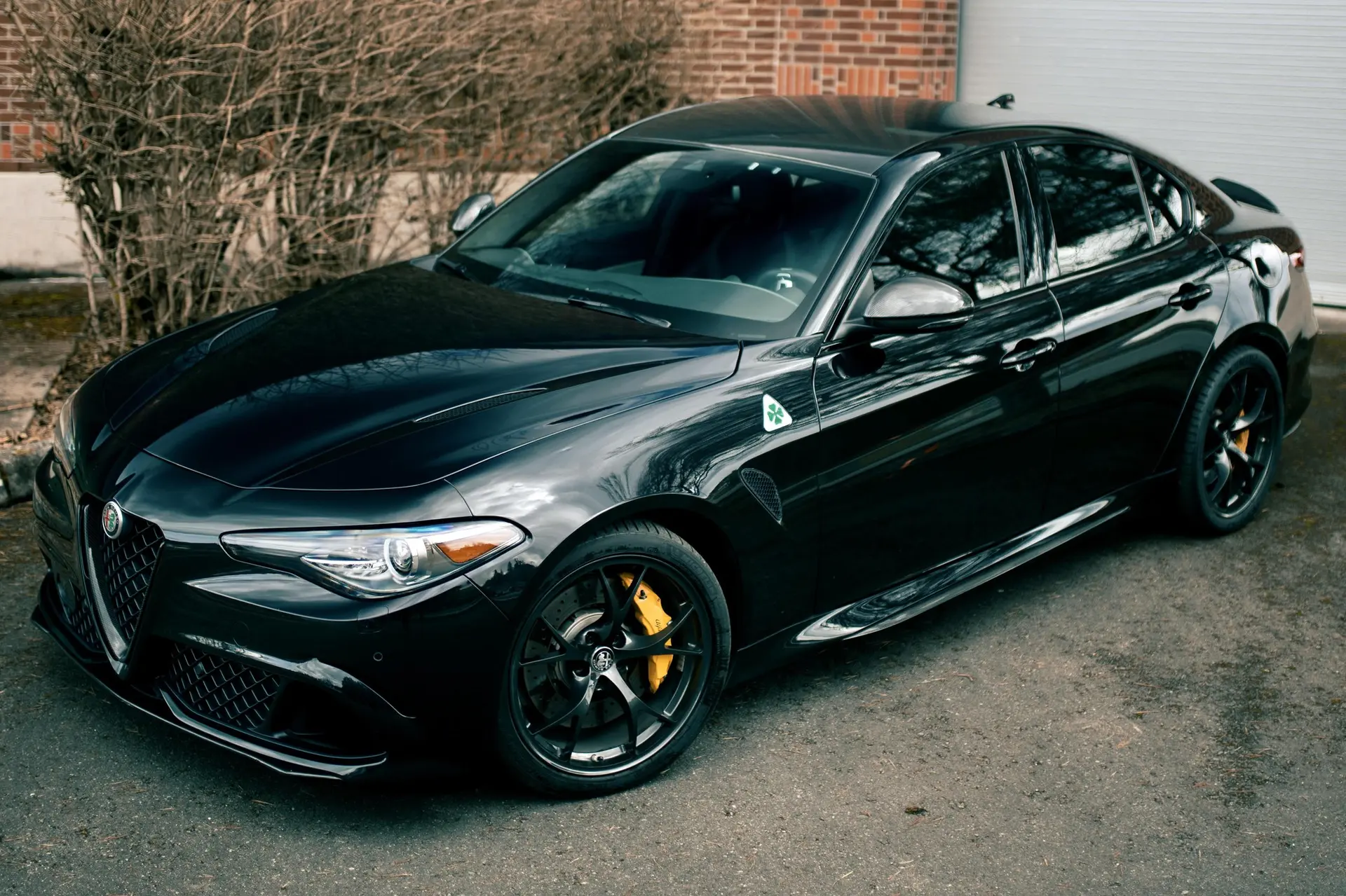2019 Alfa Romeo Giulia Quadrifoglio