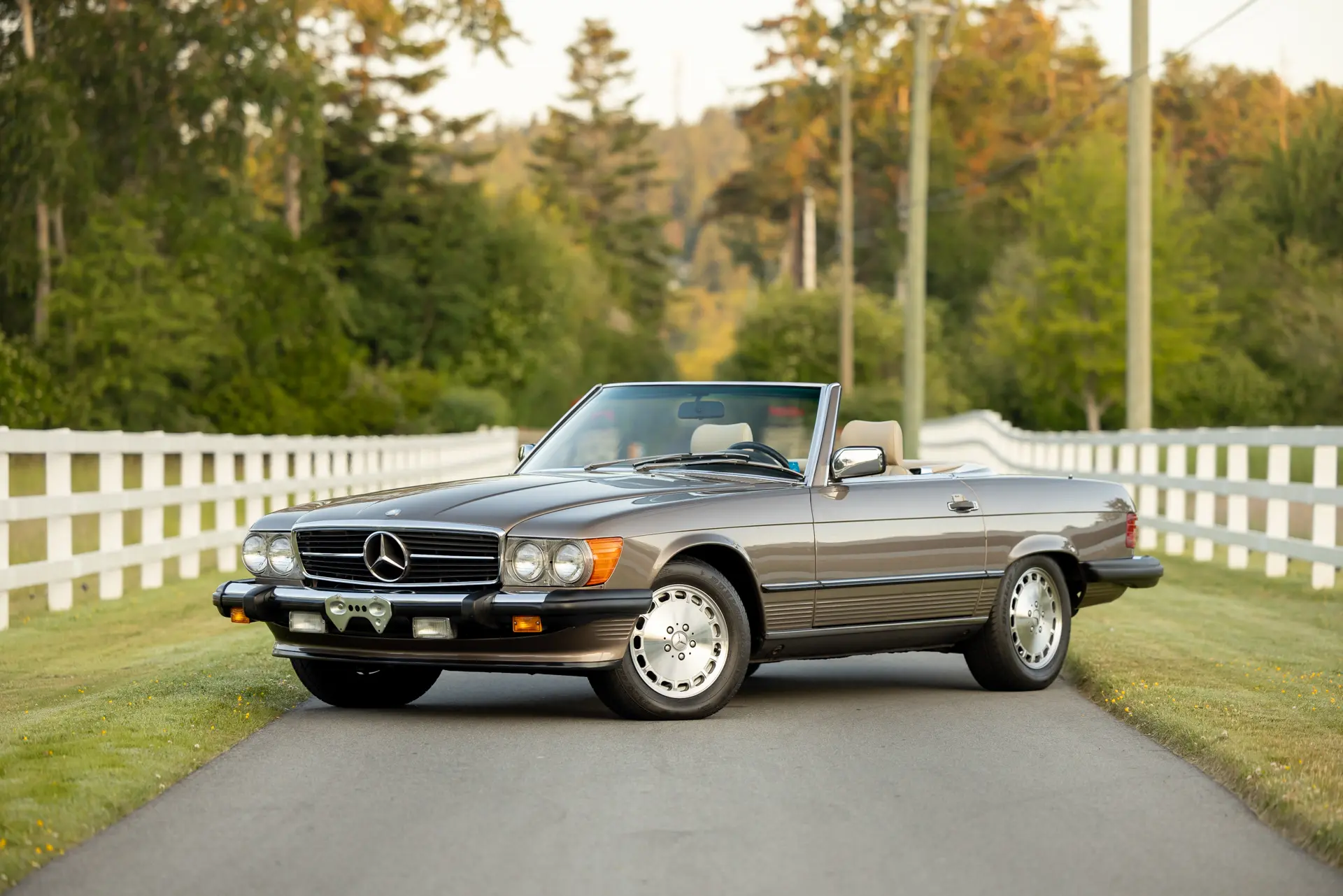 1988 Mercedes-Benz SL-Class 560SL