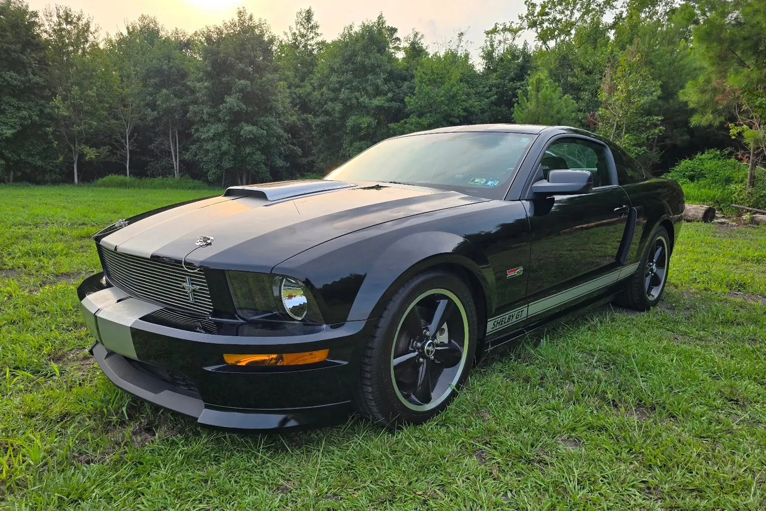 2007 Ford Mustang GT