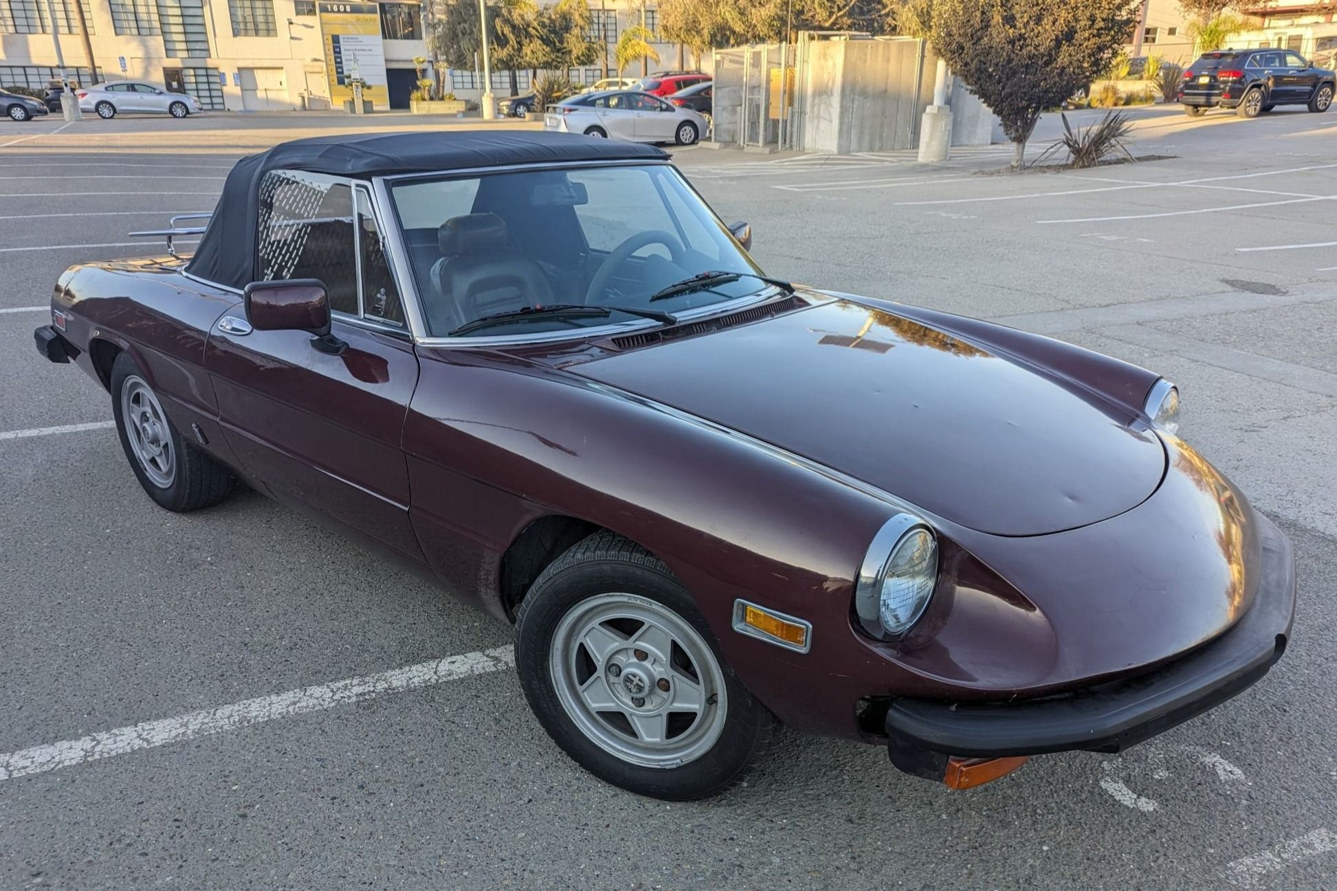 1982 Alfa Romeo Spider