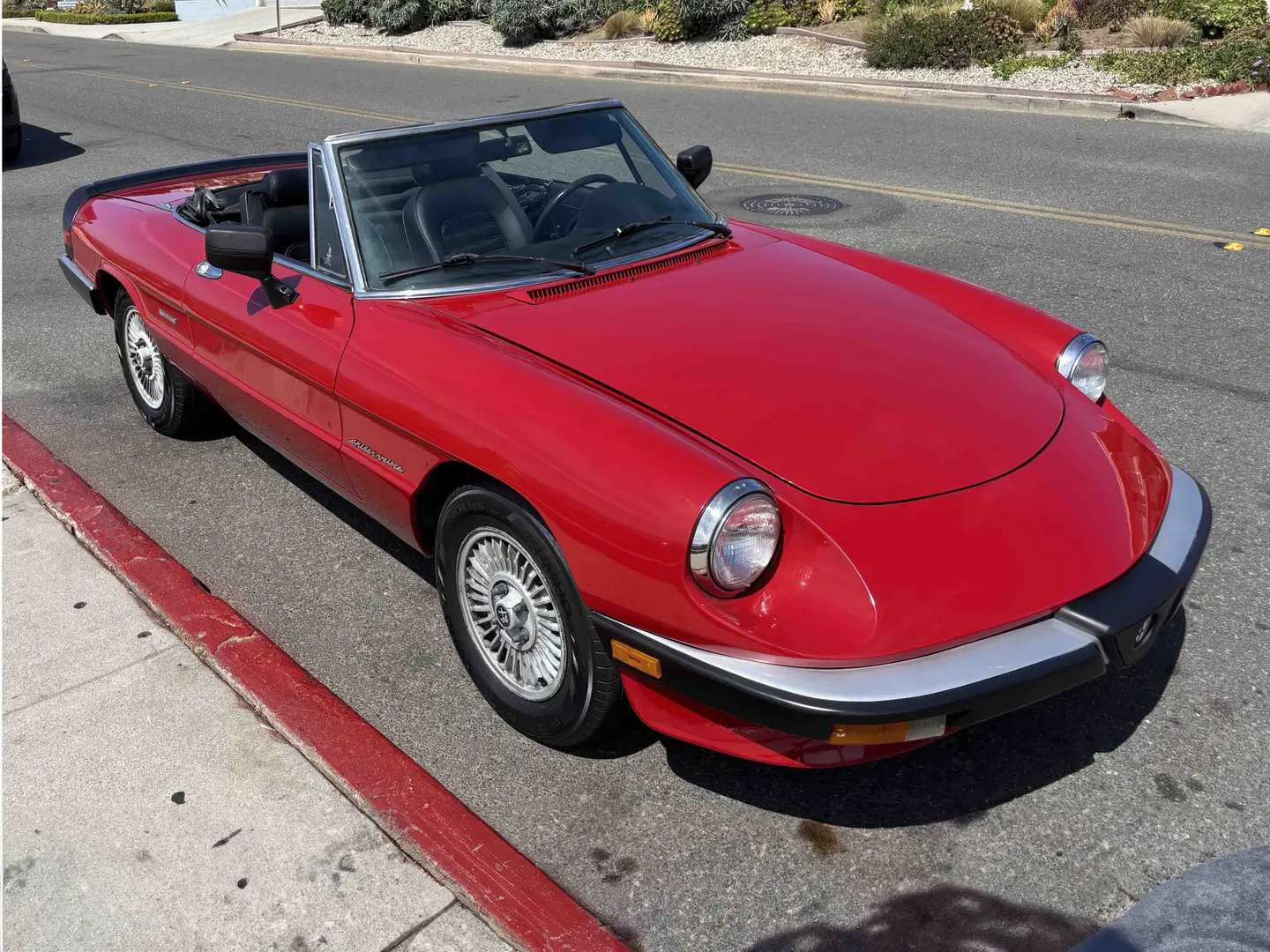 1983 Alfa Romeo Spider, sold Feb 2026