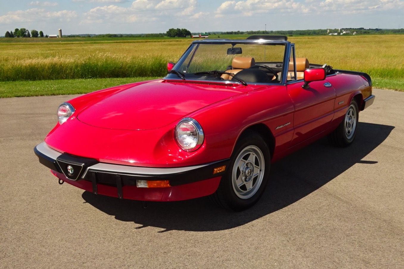 1989 Alfa Romeo Spider