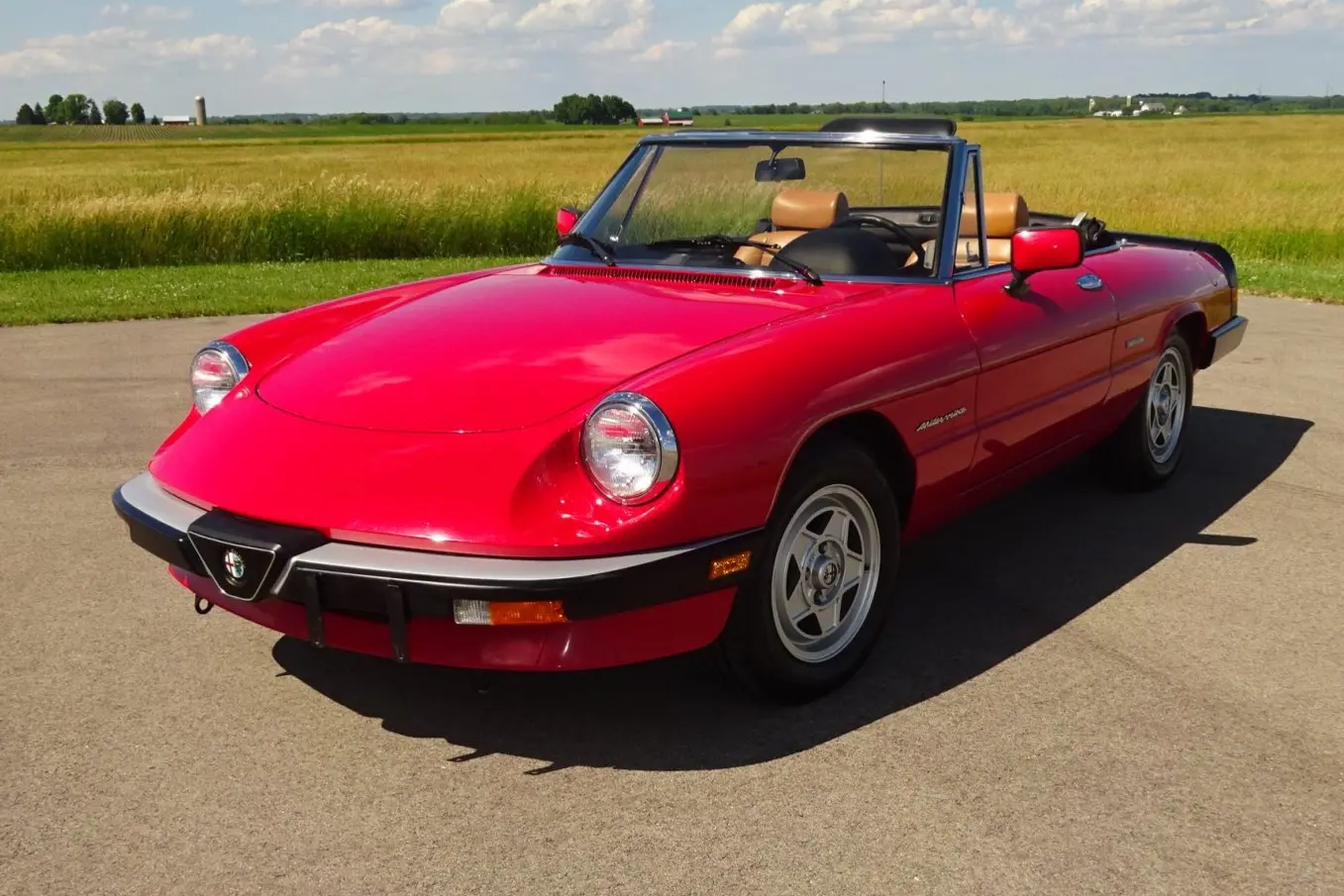 1989 Alfa Romeo Spider