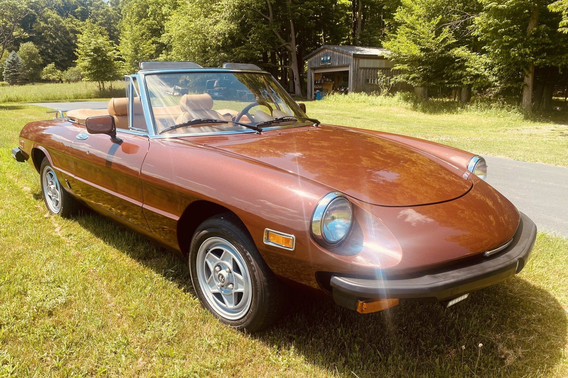 1980 Alfa Romeo 105 Series Spider