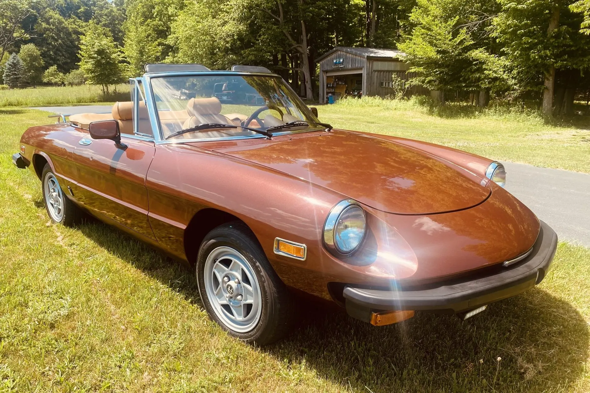 1980 Alfa Romeo 105 Series Spider