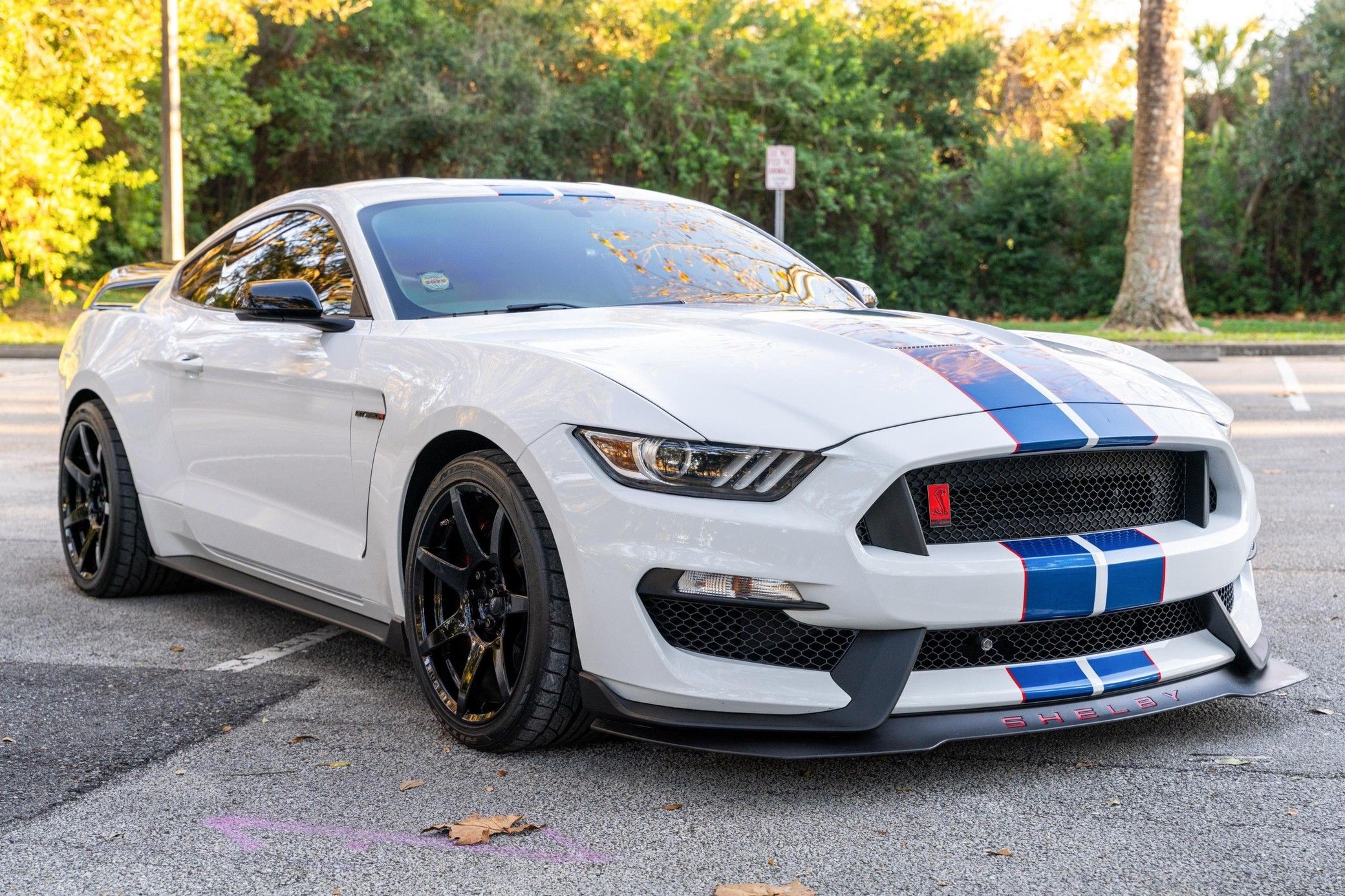2017 Ford Mustang Shelby GT350R