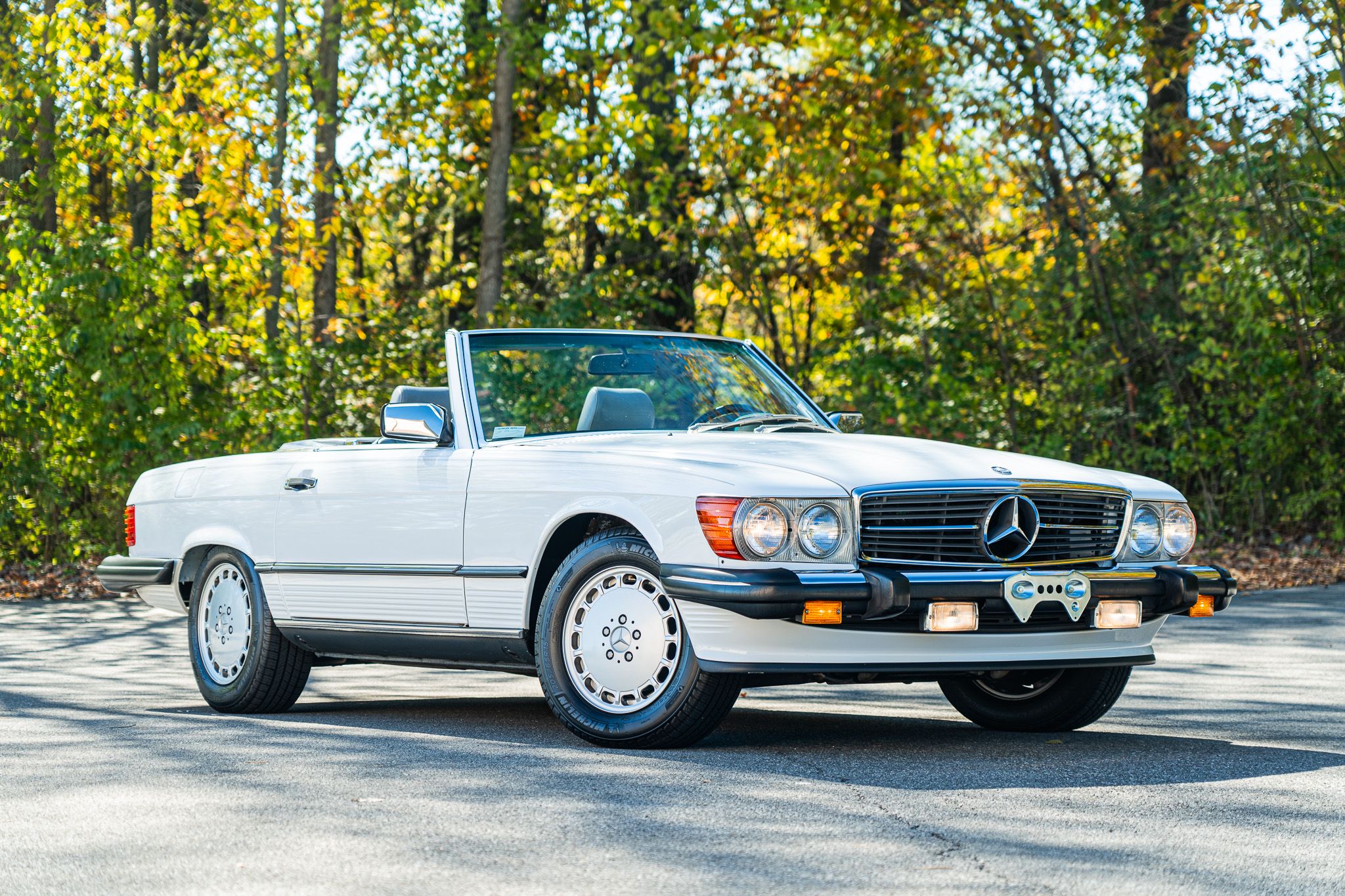 1989 Mercedes-Benz SL-Class 560SL