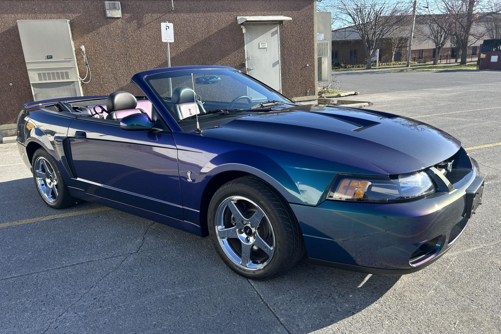 2004 Ford Mustang SVT Cobra